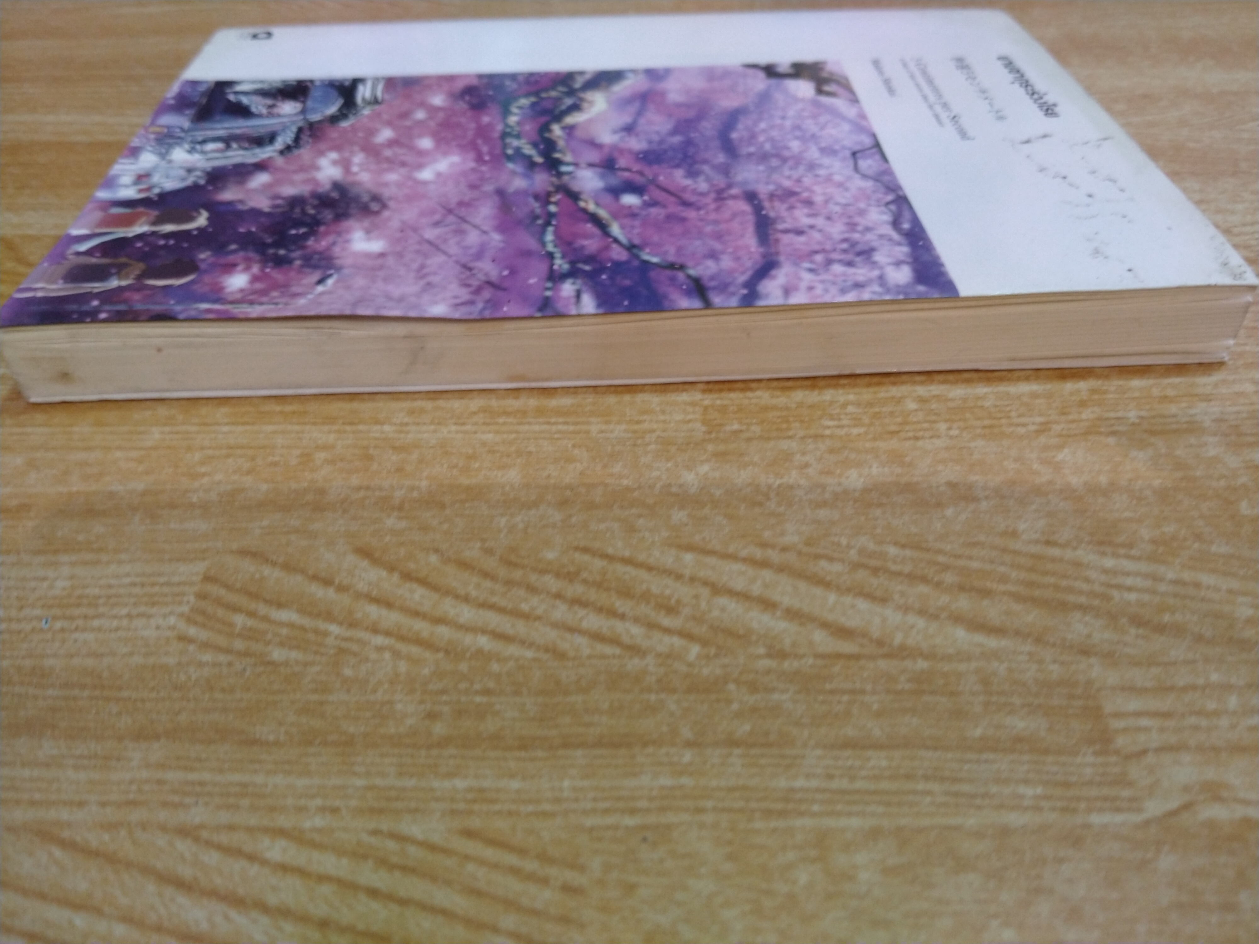 ยามซากุระร่วงโรย