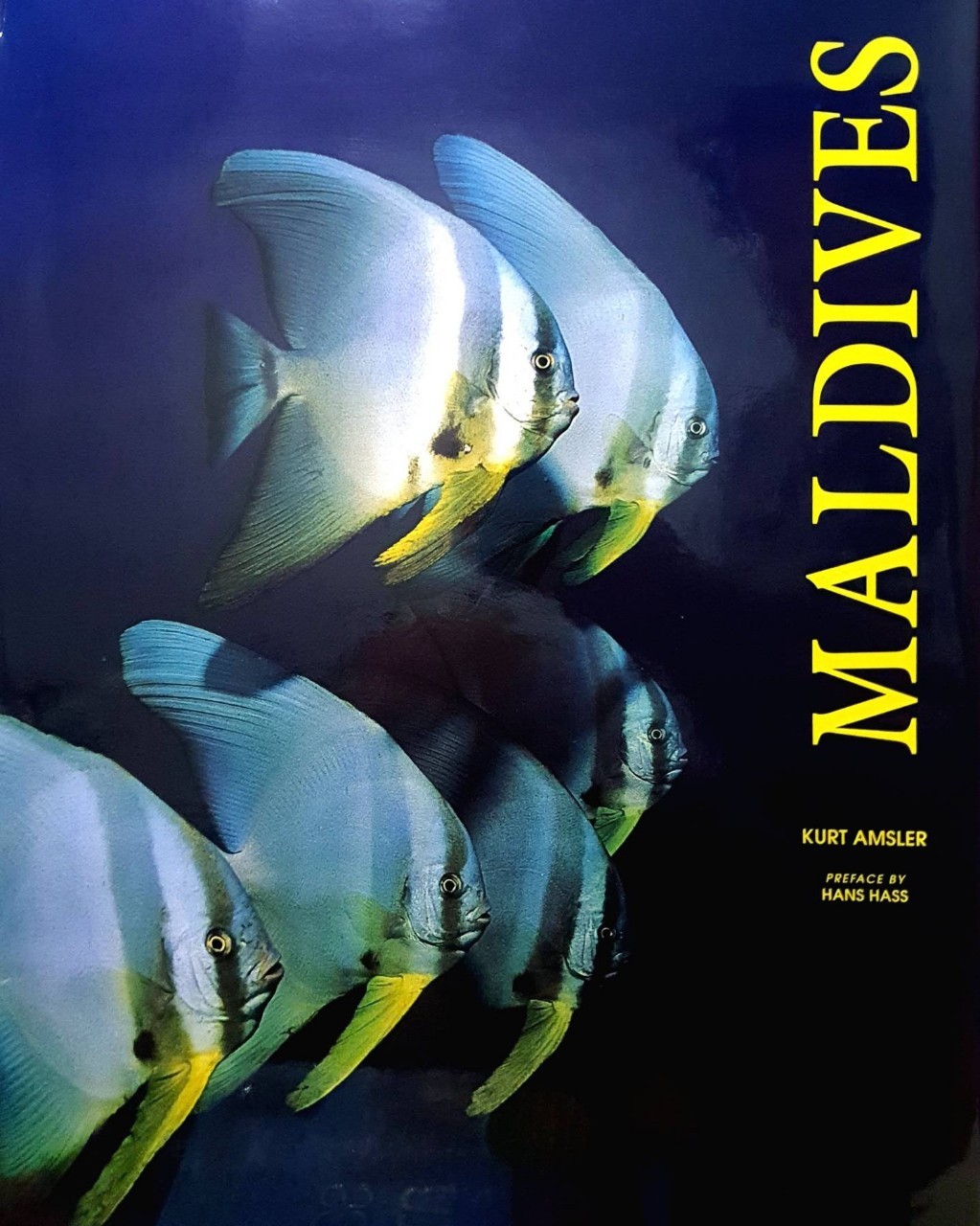MALDIVES : Kurt Amsler