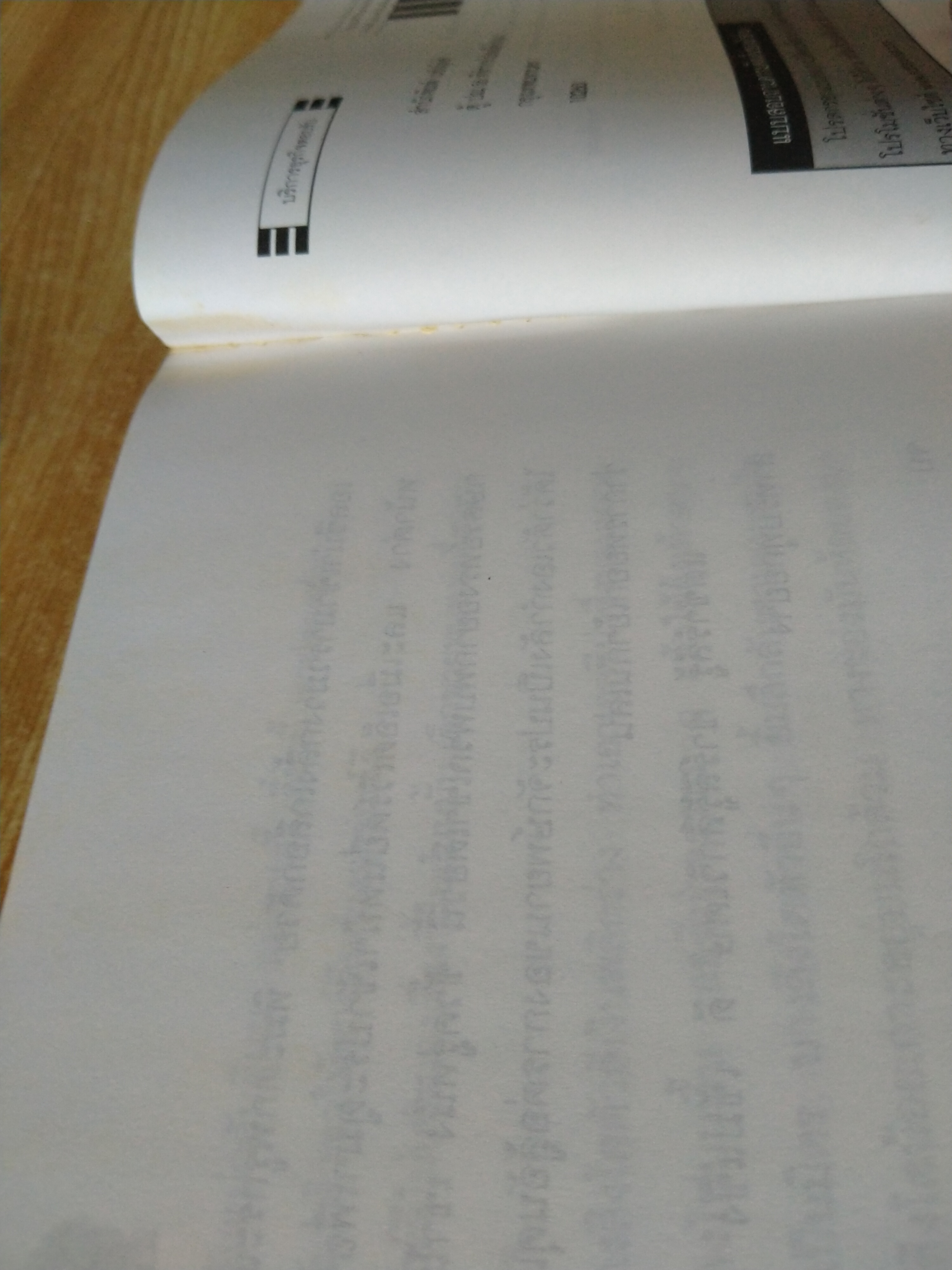 ไลอ้อนบอย