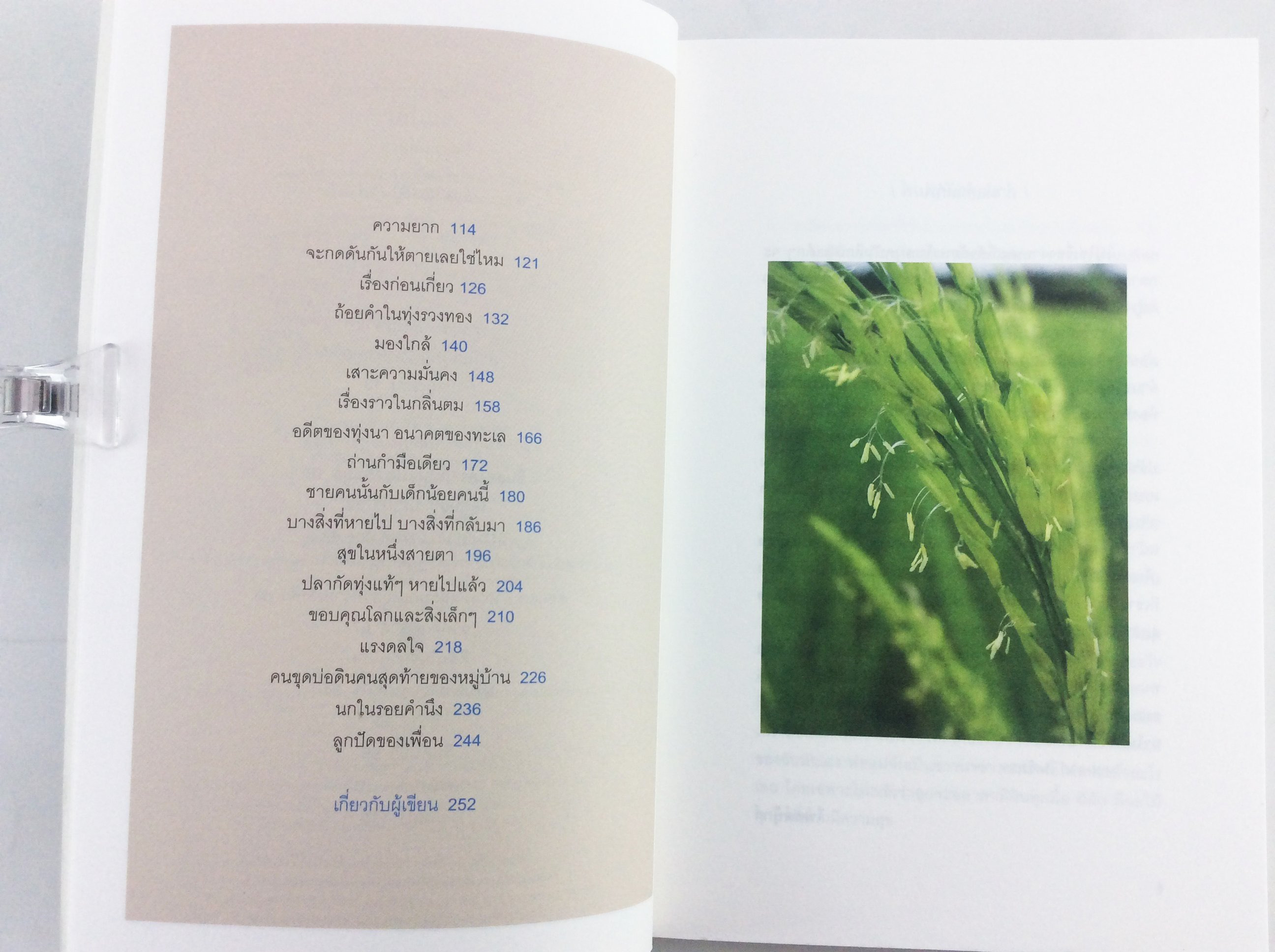 วิถีในนา เรื่องเล่าจากสวนขี้คร้าน 1 วิถีทางเลือกจากเมืองกรุงสู่ท้องทุ่ง ปลูกข้าว - ปลูกคน หนังสือ การเกษตร ทำนา
