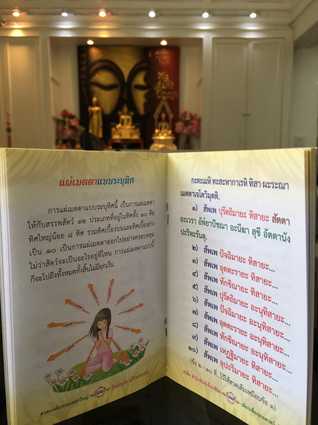 หนังสือสวดมนต์ มหาเมตตาใหญ่ ป้องกันภัย แก้ไขเวรกรรม ฉบับพกพา ( แพ็ค 10 เล่ม ) หนังสือธรรมะ บจ.สำนักพิมพ์เลี่ยงเชียง เพียรเพื่อพุทธศาสน์