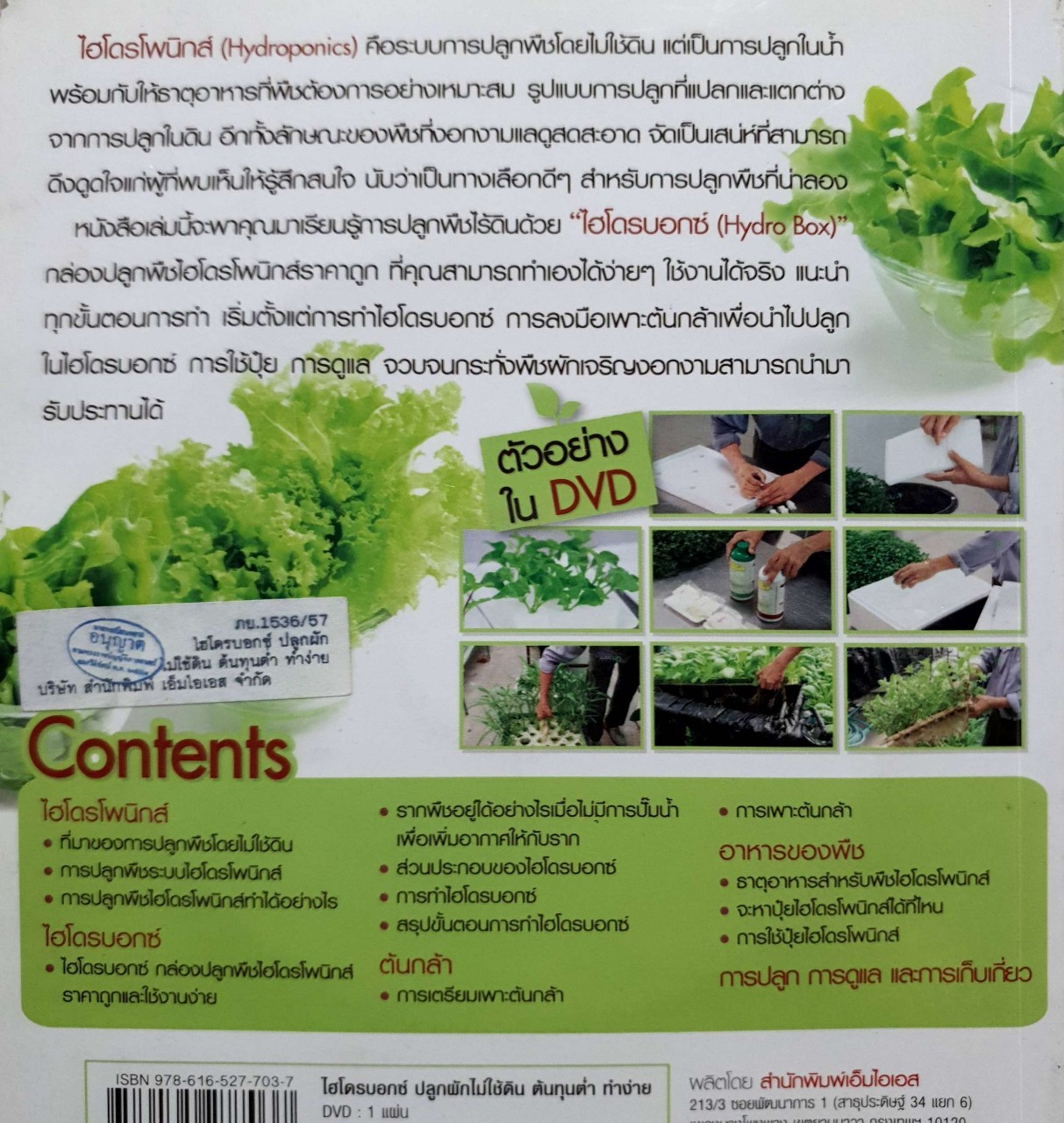 ไฮโดรบอกซ์ ปลูกผักไม่ใช้ดิน ต้นทุนต่ำ ทำง่าย : เฉลิมชัย รุจิเรข