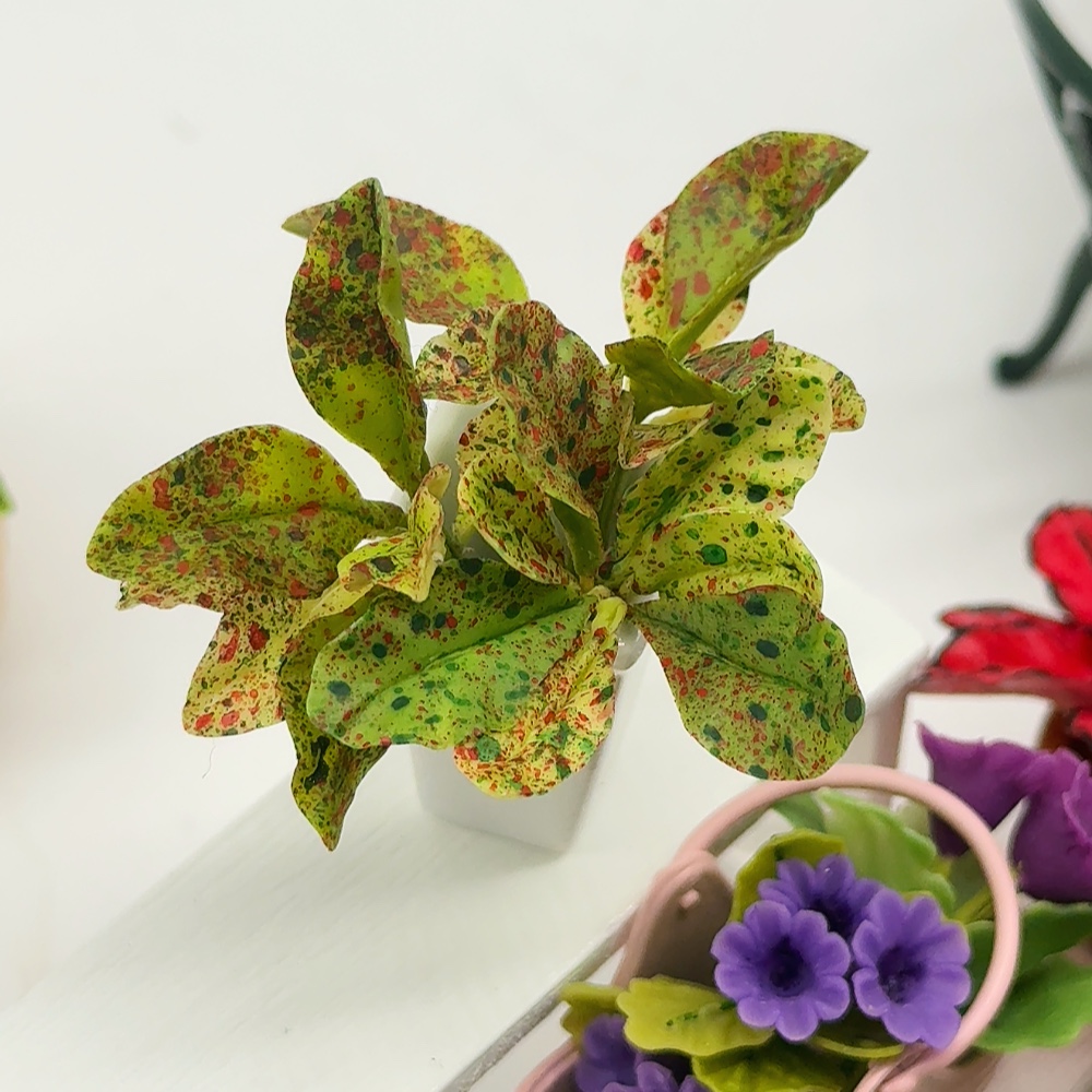 5 pieces Miniature Leaf Caladium (clay)