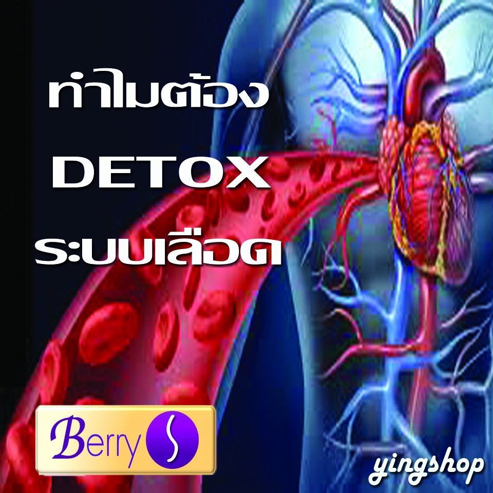 ดีท็อกเลือด,ล้างสารพิษ,ขับสารพิษ,Detoxเลือด,ไขมันอุดตันในเลือด,เบอร์รี่เอส,Berry s ดีท็อกเลือด,ล้างสารพิษ,ขับสารพิษ,Detoxเลือด,ไขมันอุดตันในเลือด,เบอร์รี่เอส,Berry s