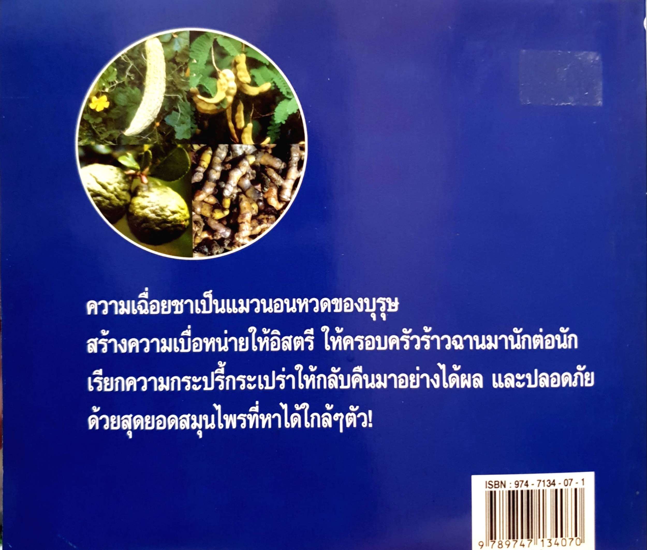 สุดยอดสมุนไพร บำรุงพลังบุรุษเพศ / ภาณุทรรศน์