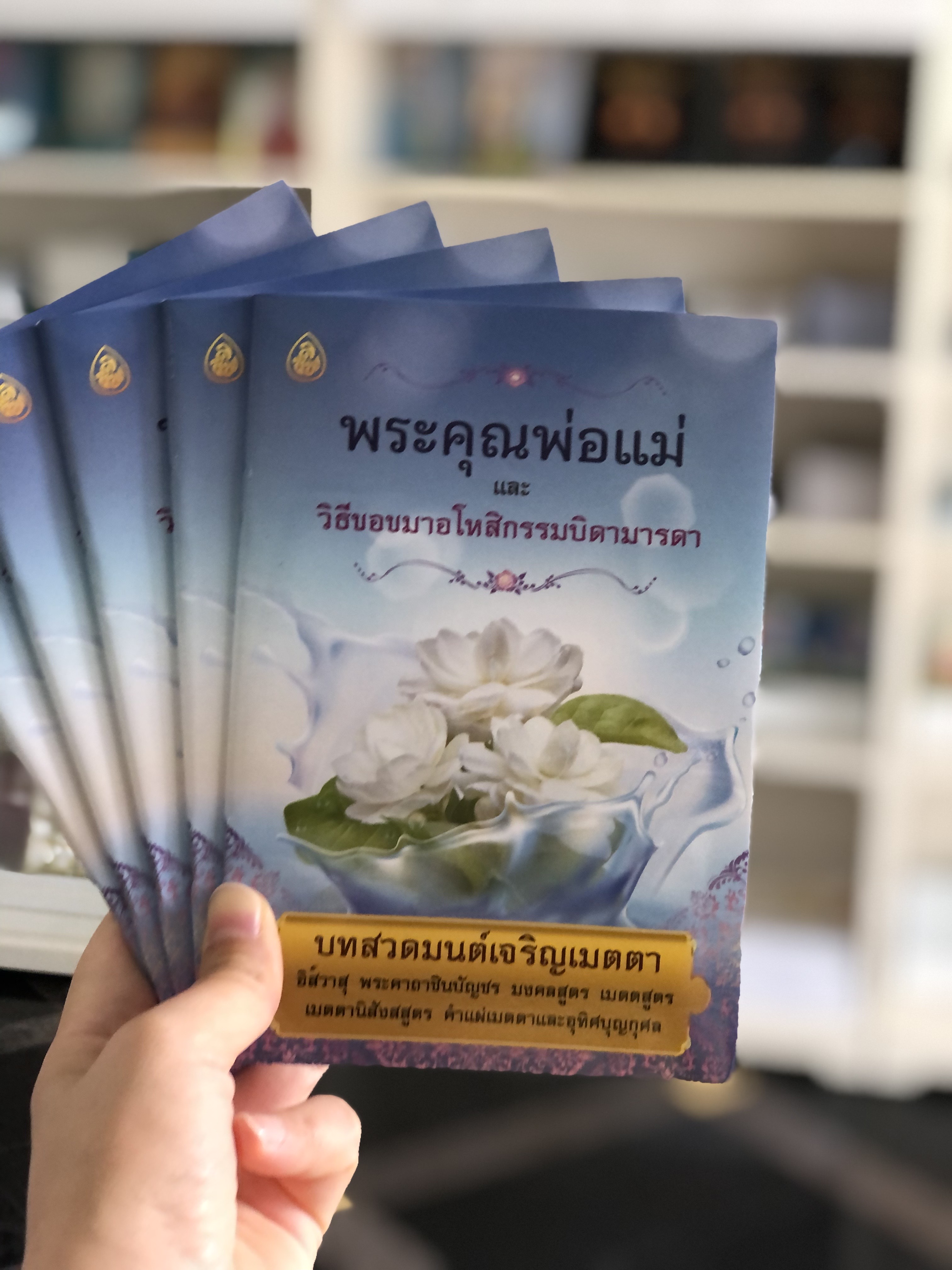 หนังสือสวดมนต์ ชุดเพิ่มพลังบุญ เสริมโชคลาภ (แพค10เล่ม คละปก) หนังสือธรรมะ บจ.สำนักพิมพ์เลี่ยงเชียง