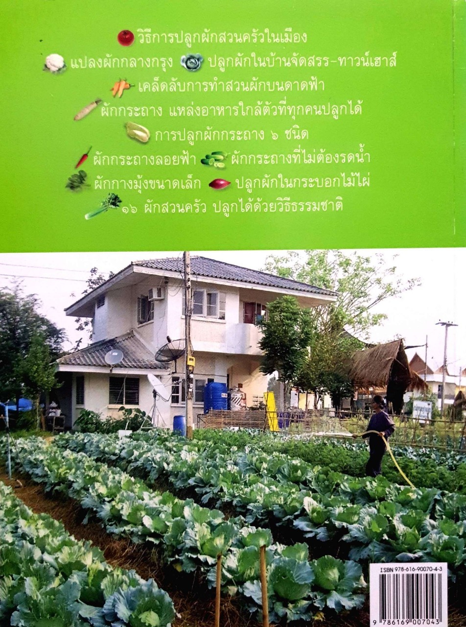 สวนผักคนเมืองสวนผักดาดฟ้า