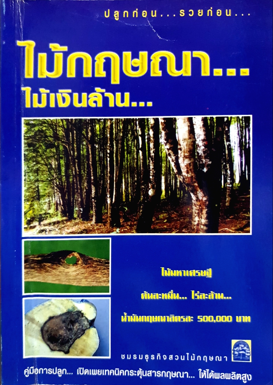 ไม้กฤษฎา...ไม้เงินล้าน