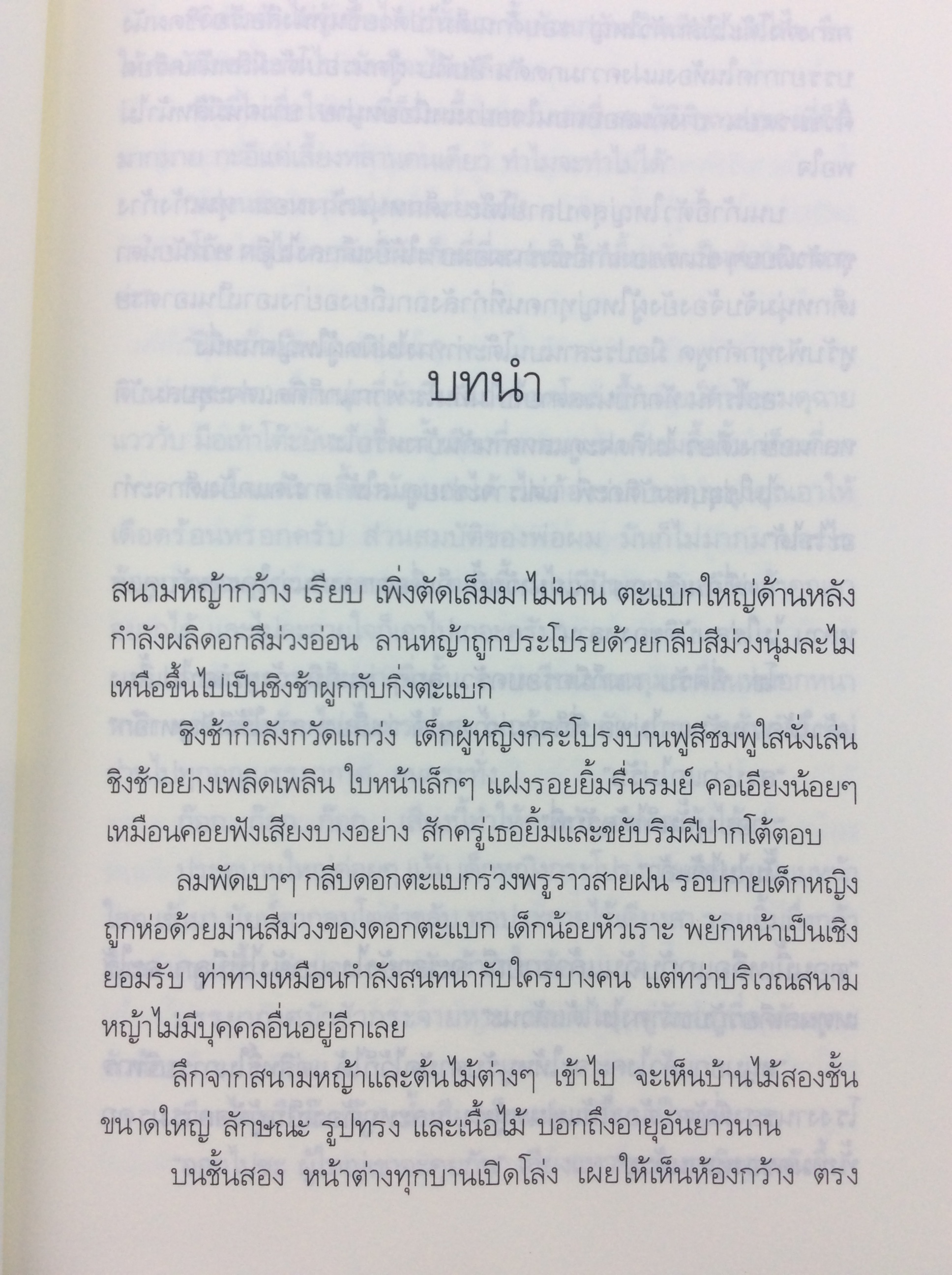 ม่านมนตรา นิยาย นิยายโรแมนติก