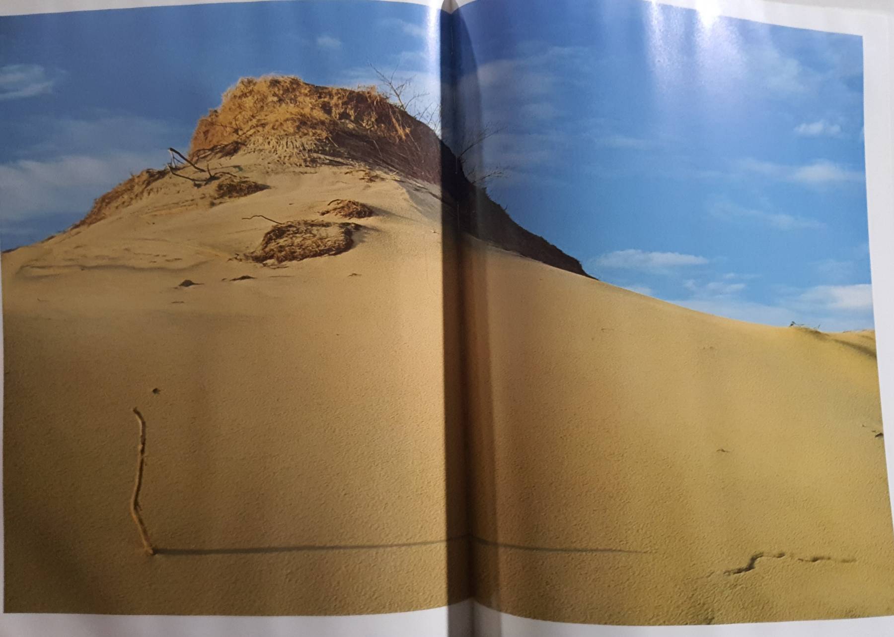 Michigan (Hardcover) by Stan Osolinski (Author), 1983