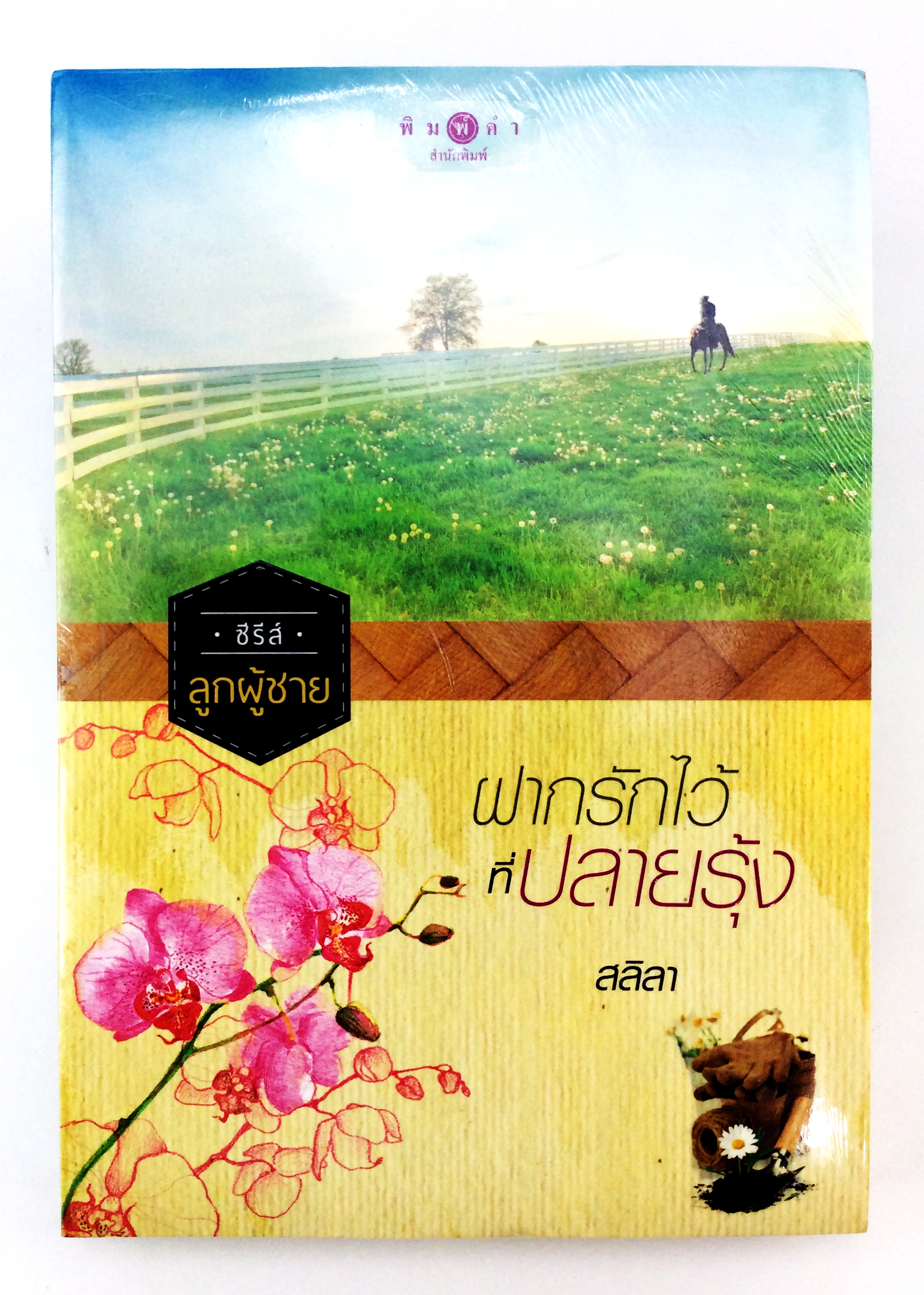 ฝากรักไว้ที่ปลายรุ้ง นิยาย นิยายลดราคา หนังสือนิยาย