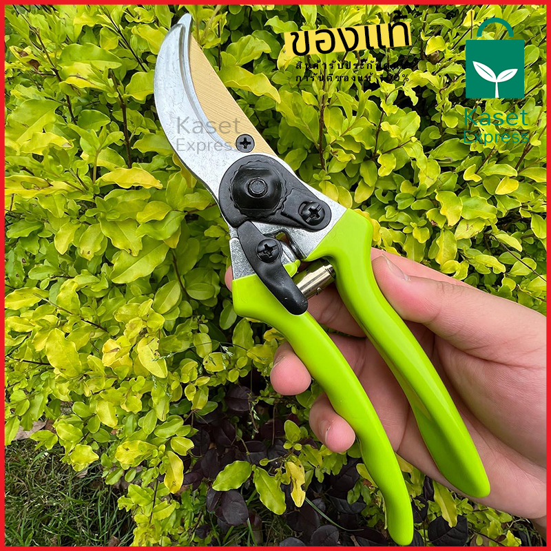 กรรไกรตัดกิ่ง 8นิ้ว รุ่น SW-185 กรรไกรตัดแต่งกิ่งไม้ สีเขียวอ่อน คมมากๆ