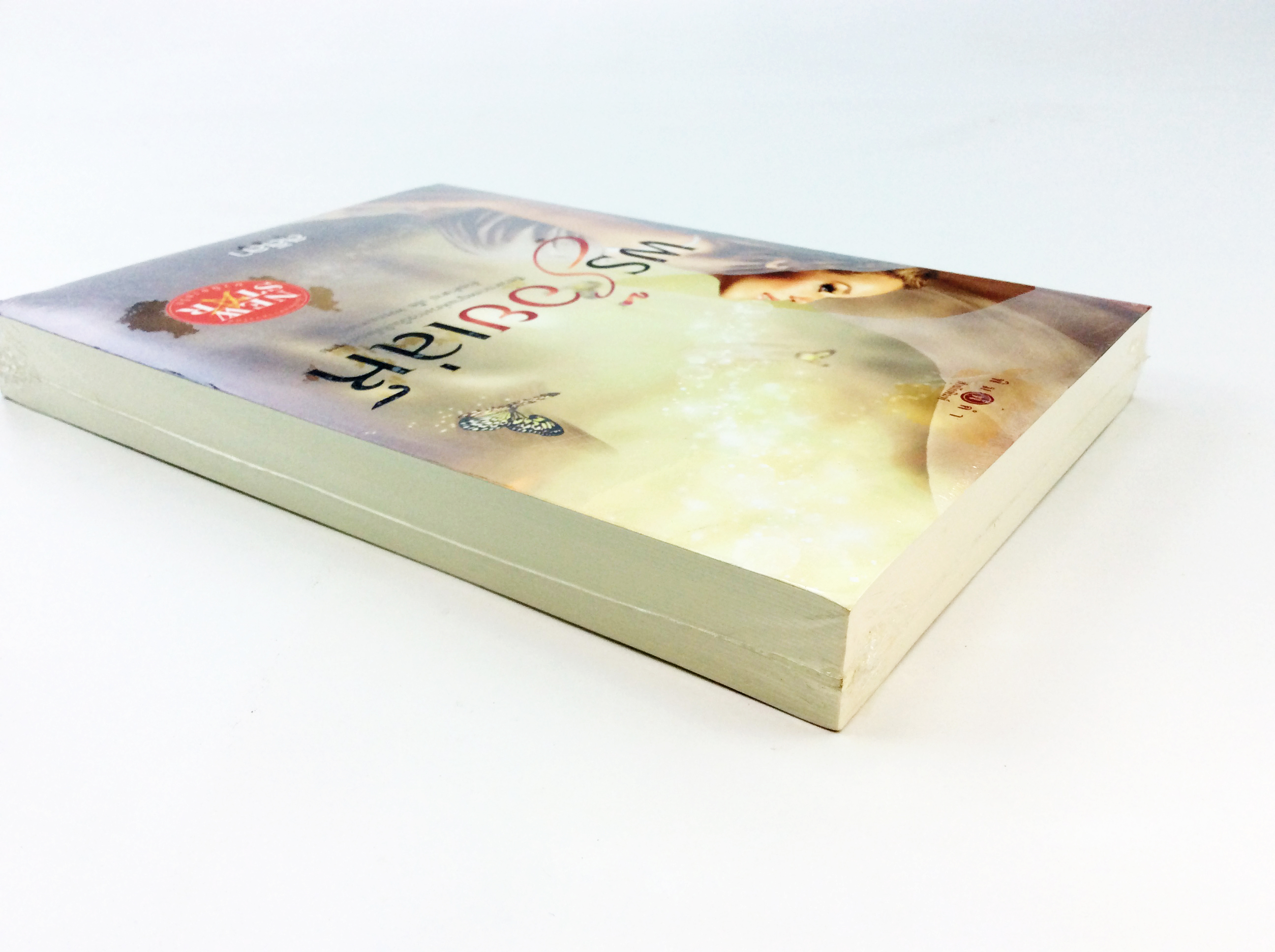 พรร้อยเลห์ นิยาย นิยายลดราคา หนังสือ นิยาย