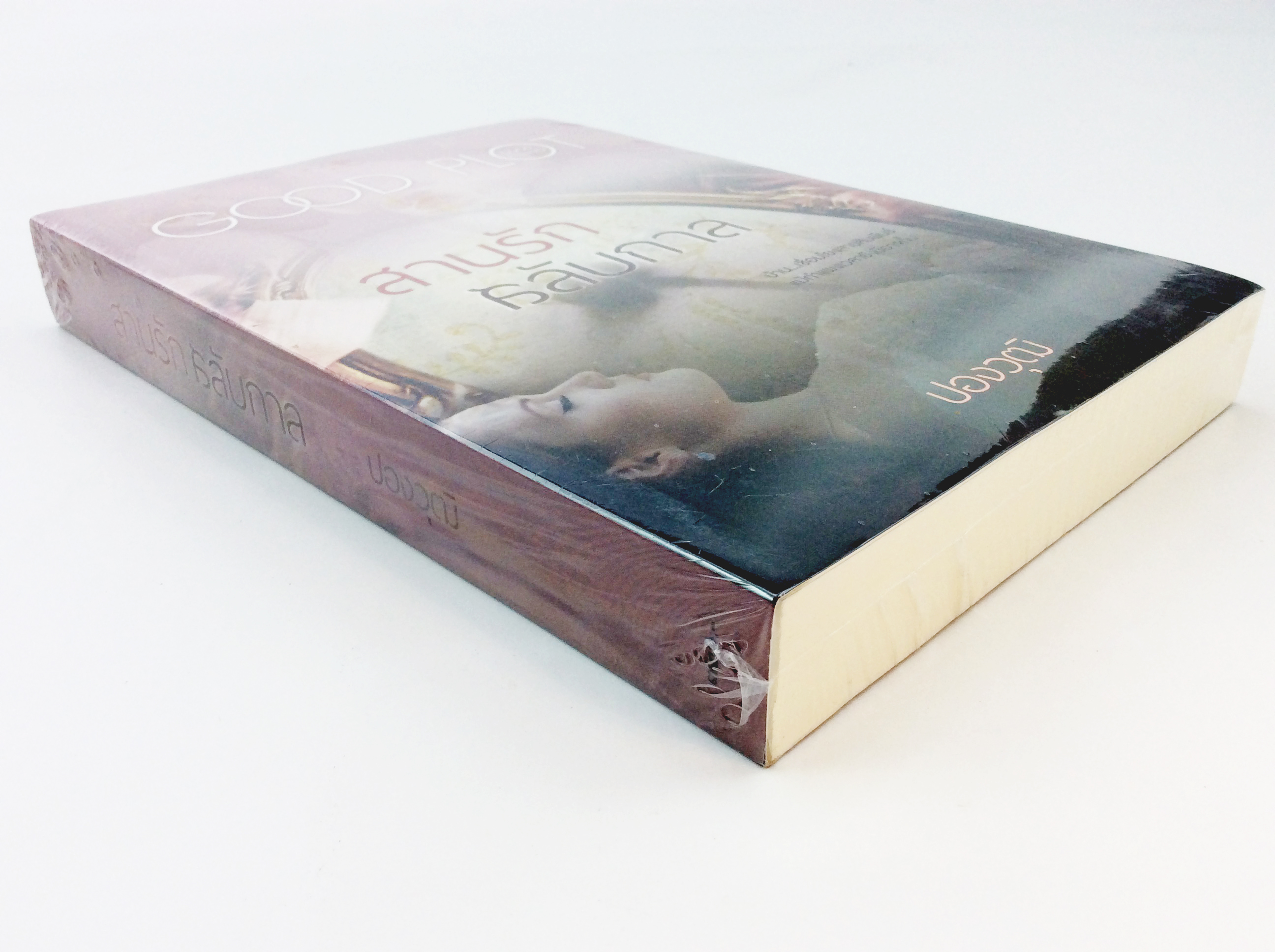 สานรักสลับกาล นิยาย นิยายลดราคา หนังสือนิยาย