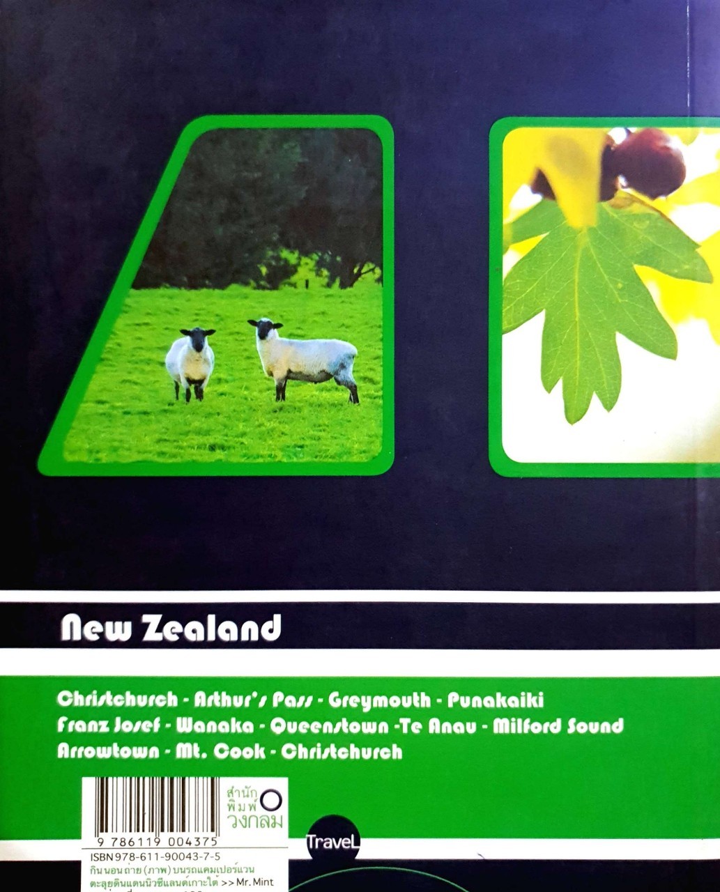 THE CAMPER VAN LIFESTYLE. - NEW ZEALAND : Mr.Mint