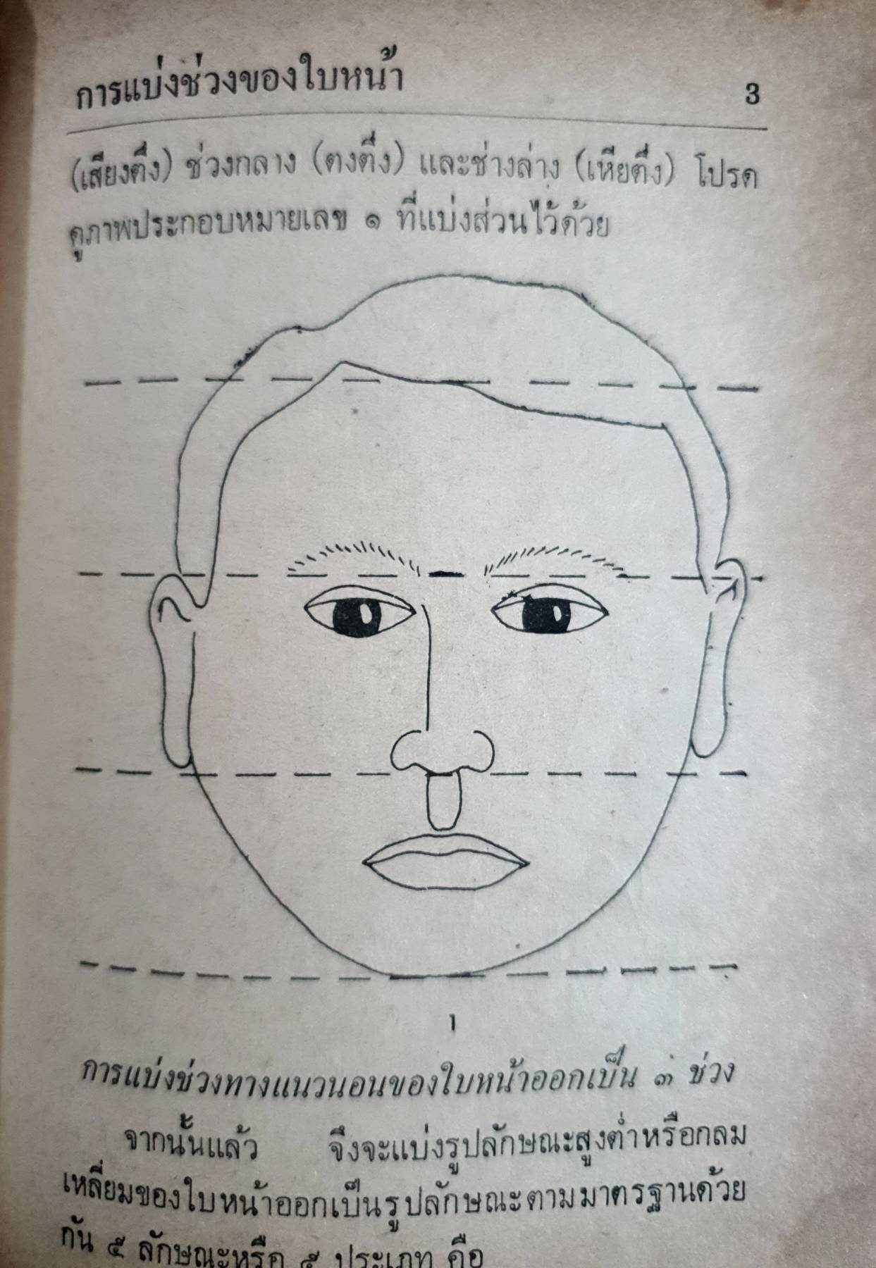 ตำราดูลักษณะ โหงวเฮ้ง หญิงชาย