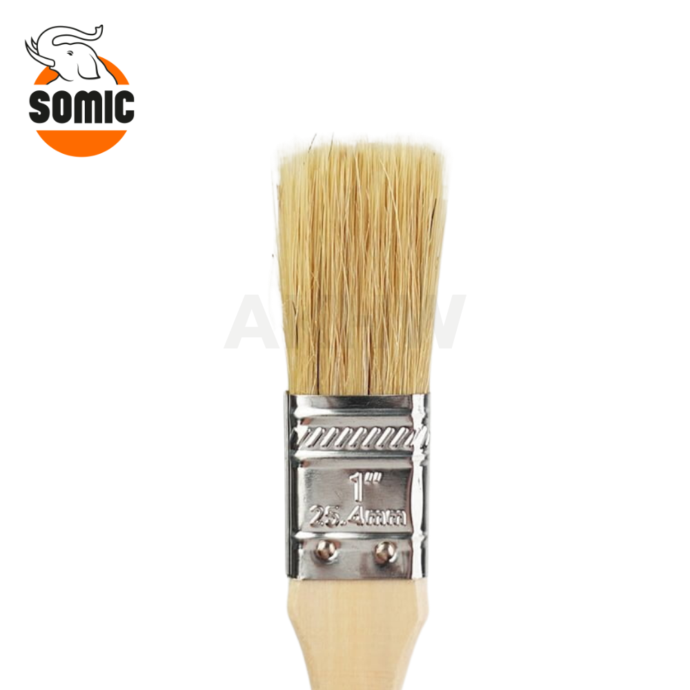 แปรงทาสีโซมิค SOMIC รุ่นเบสิค Basic [สินค้าสั่งโรงงาน ขายยกกล่อง/ลัง] (ราคาไม่รวมแวท)