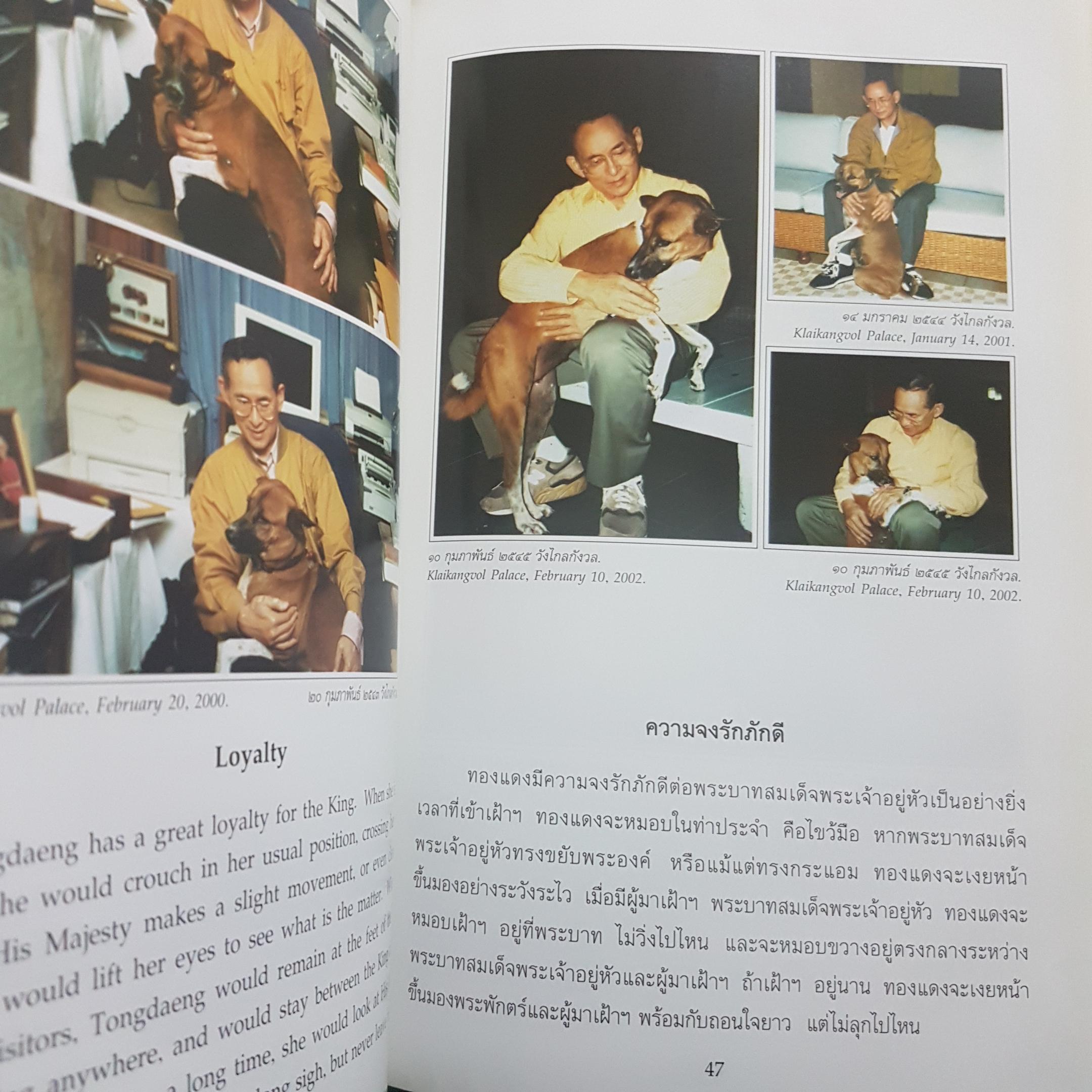 พระราชนิพนธ์พระบาทสมเด็จพระเจ้าอยู่หัวภูมิพลอดุลยเดช เรื่องทองแดง