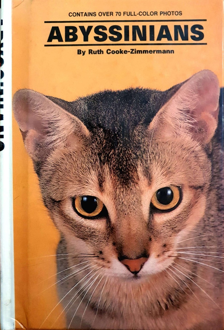 ABYSSINIANS : RUTH COOKE - ZIMMERMAN