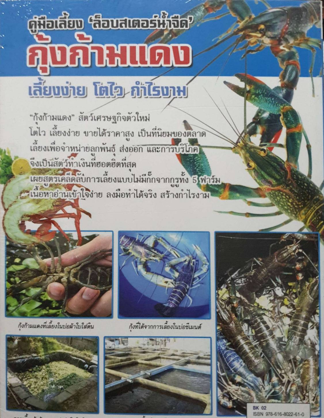 คู่มือเลี้ยง”ล็อบสเตอร์น้ำจืด” กุ้งก้ามแดง เลี้ยงง่าย โตไว กำไรงาม
