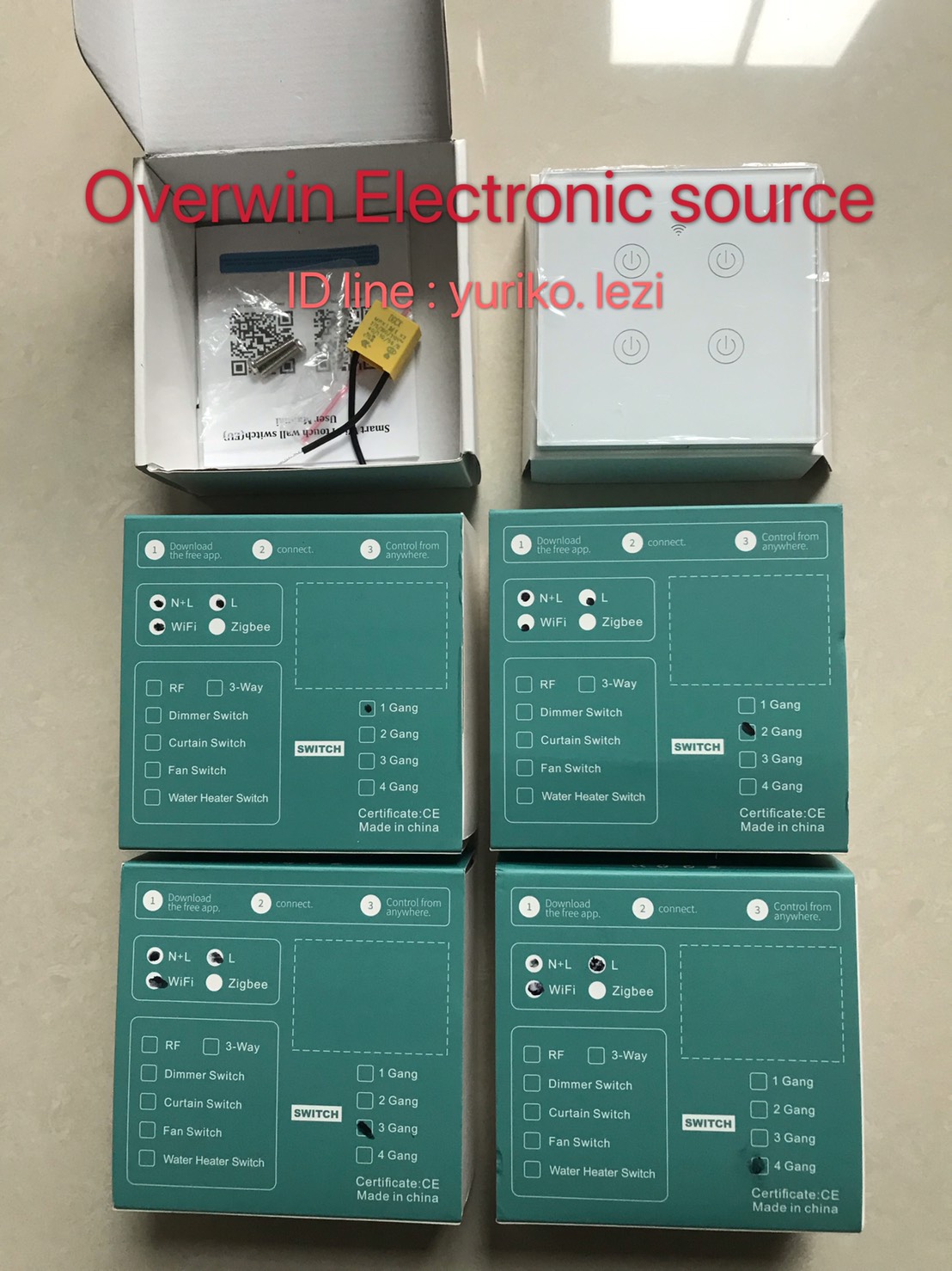 SMART SWITCH (DS-101)