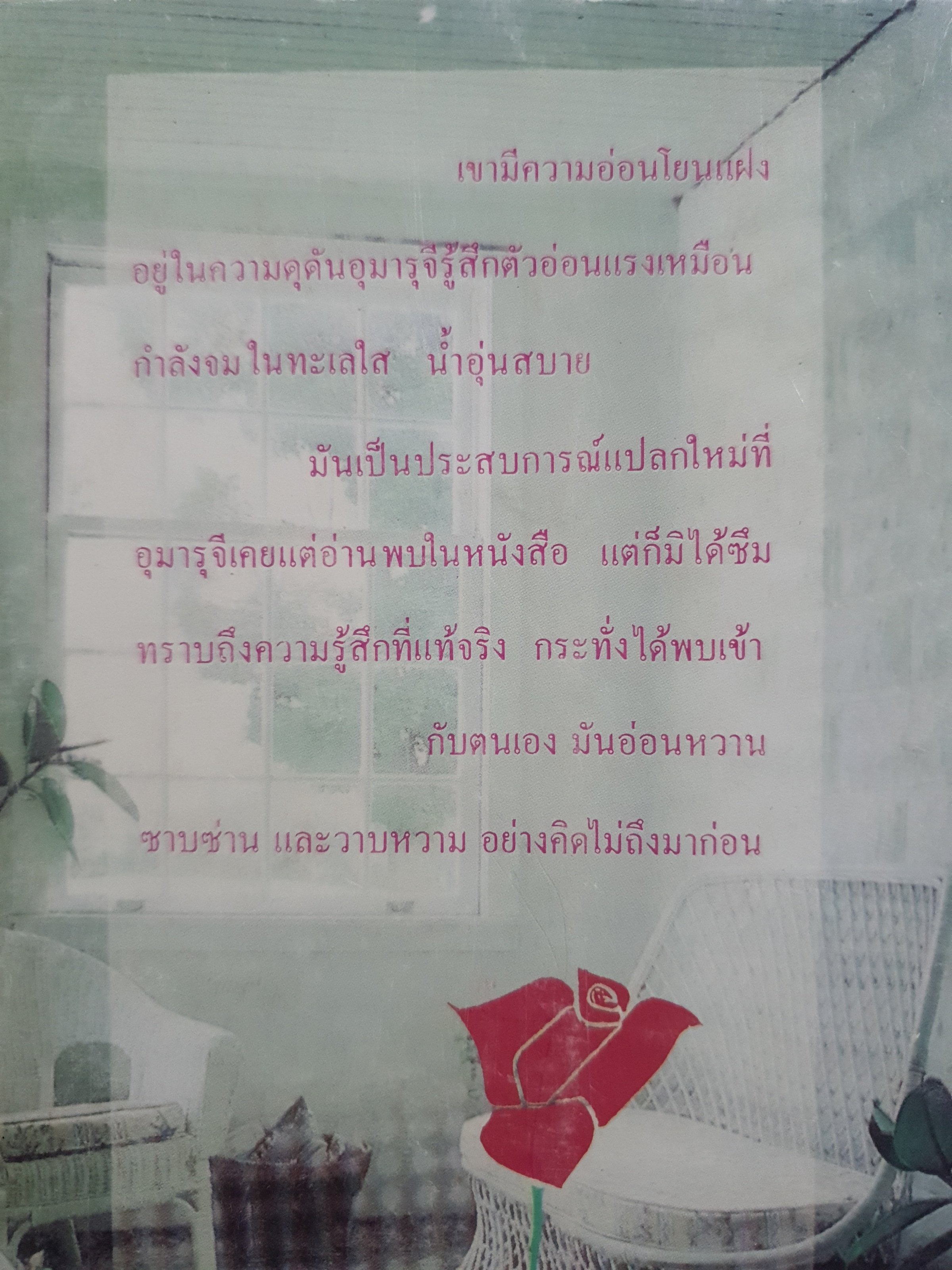 วิวาห์เถื่อน : จามรี พรรณชมพู