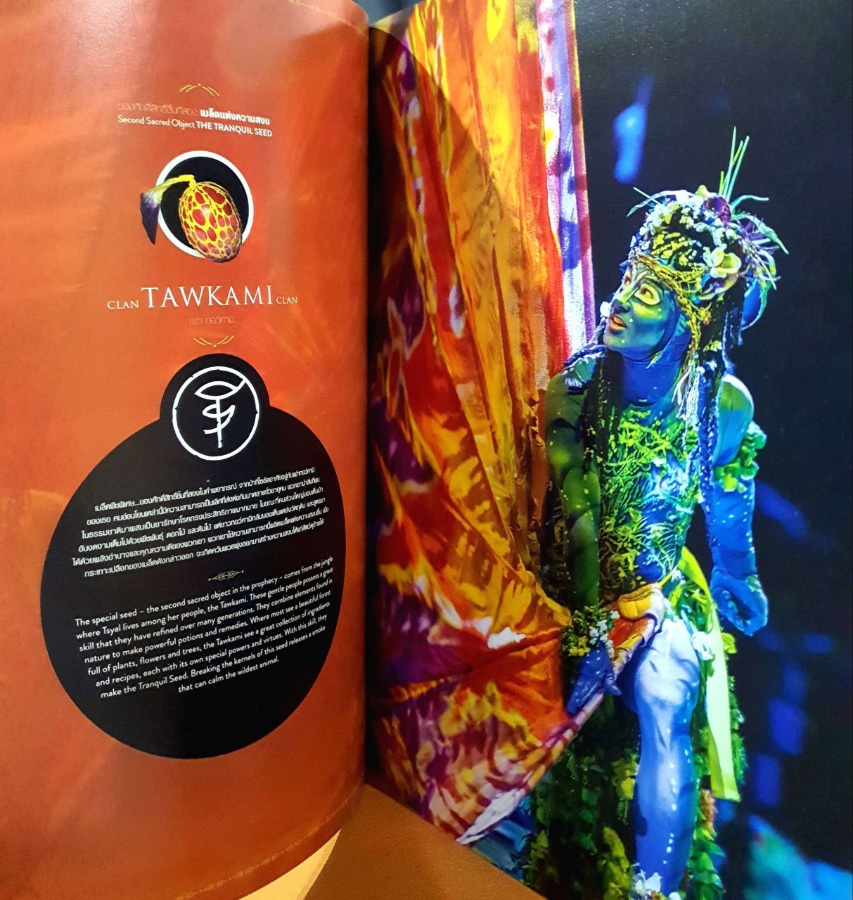 TORUK ; THE FIRST FLIGHT