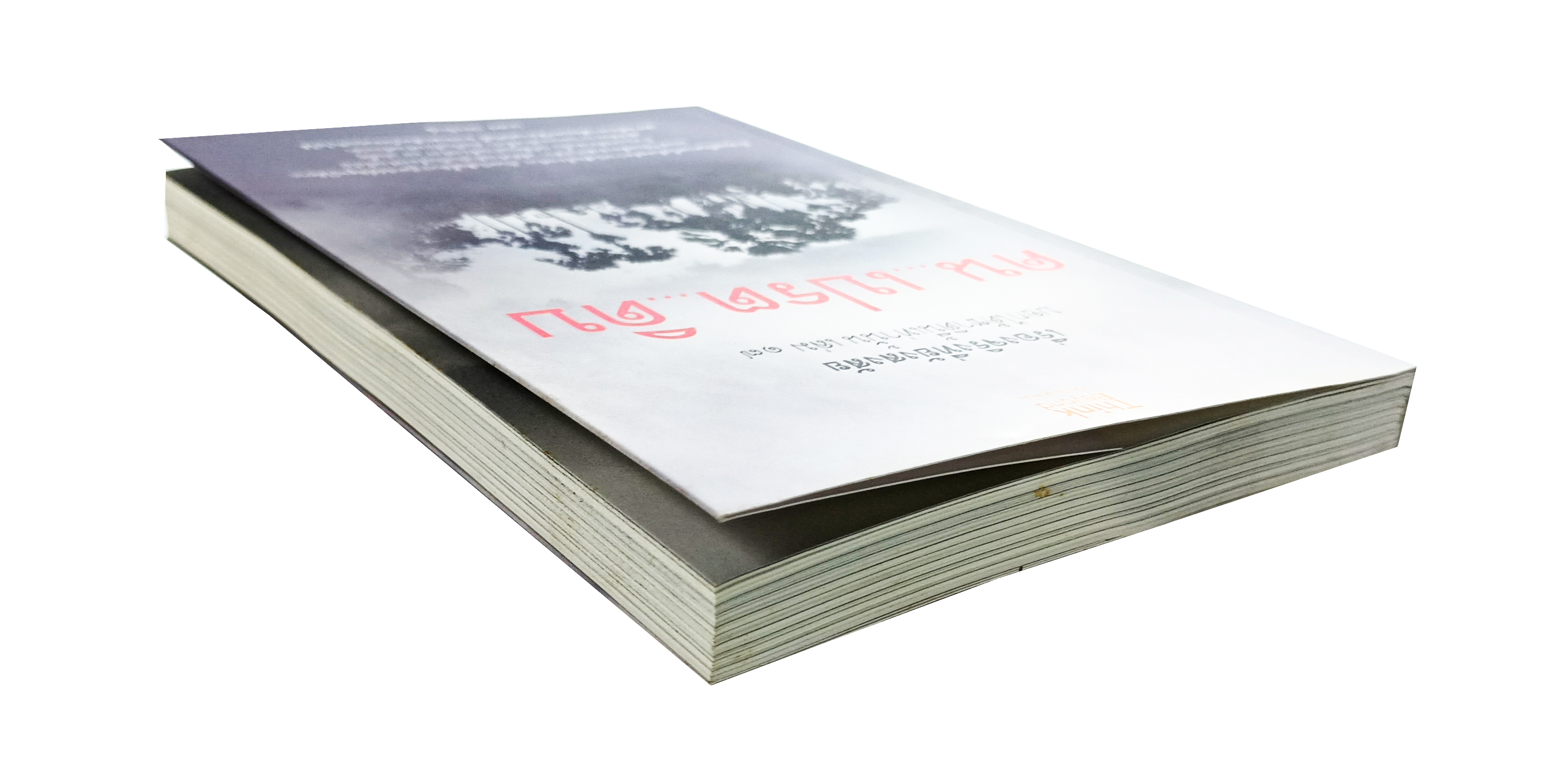 คน...เปรต...ดิบ เรื่องจริงที่ยังสงสัย บอกได้ชาตินี้เท่านั้น เล่ม ๑๗ หนังสือ ศาสนา ความเชื่อ