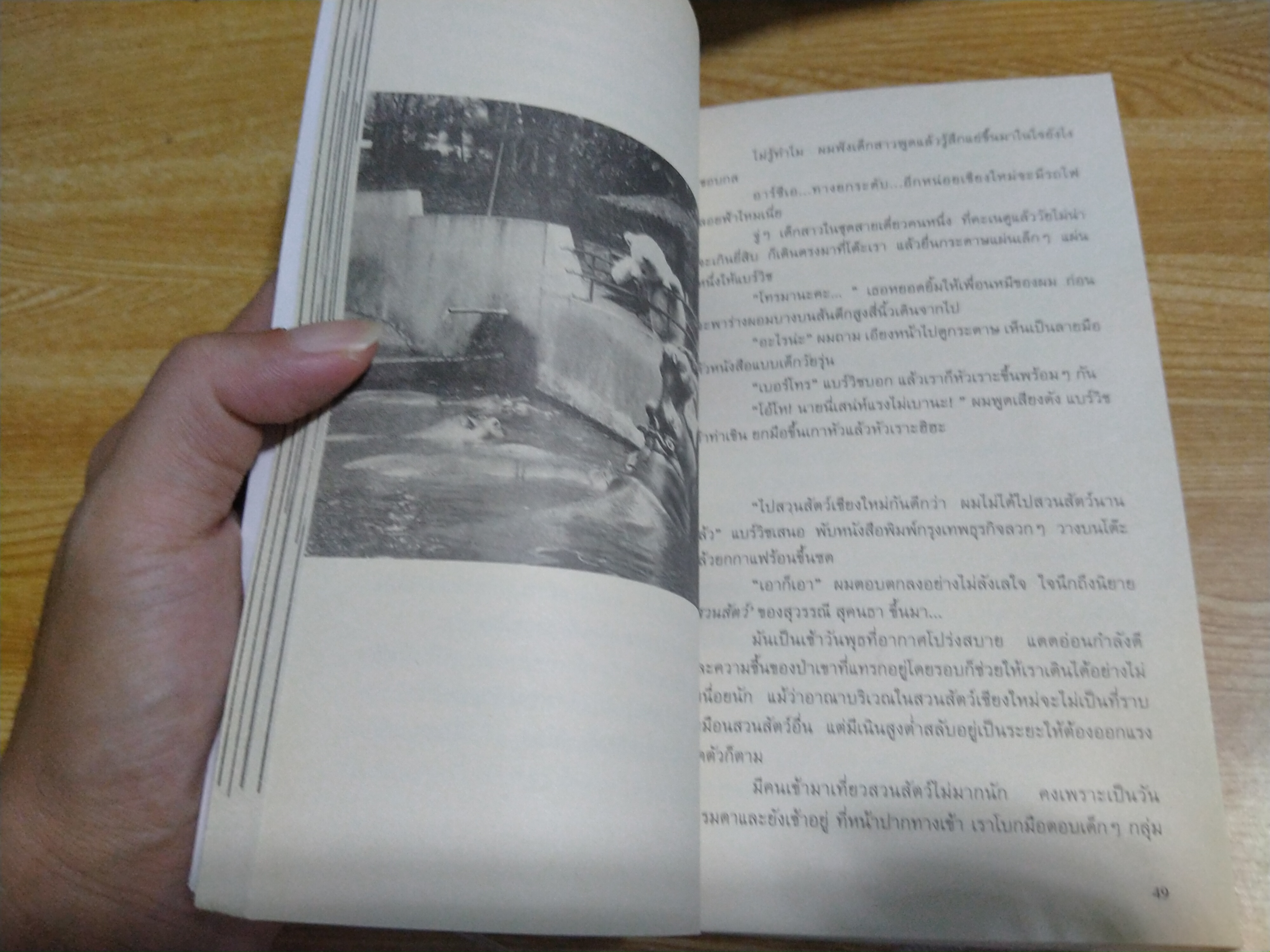 The Bear Wish Project