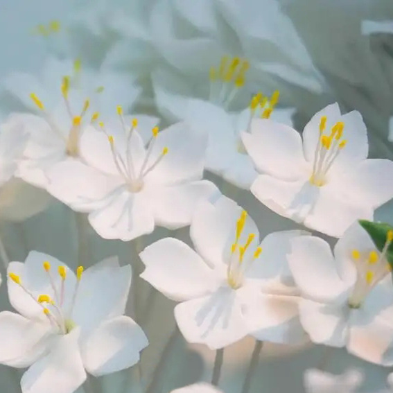 พิมพ์ขนมเค้กรูปดอกไม้สำหรับกดดินปั้นf ondant saccharificationแม่พิมพ์ตัดดอกเชอร์รี่กลีบแม่พิมพ์2ตัวเลือกเครื่องมือเค้ก