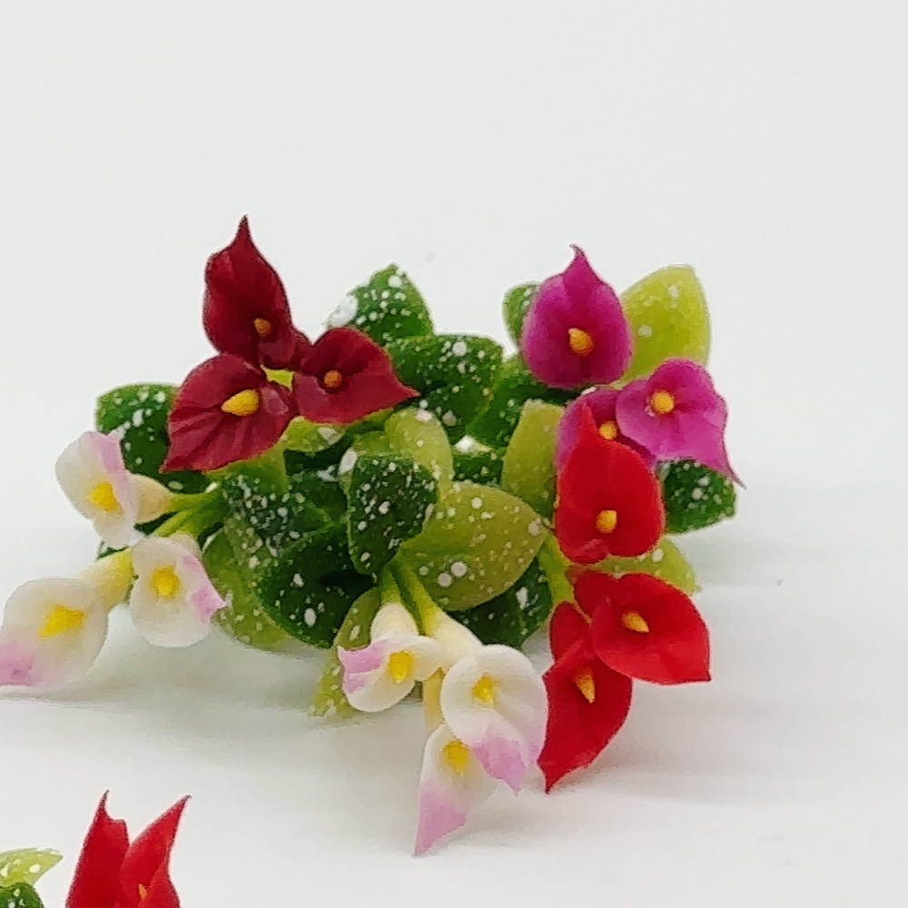 5 ช่อ คาร่าจิ๋ว ดอกไม้จิ๋ว แบบไม่มีกระถาง