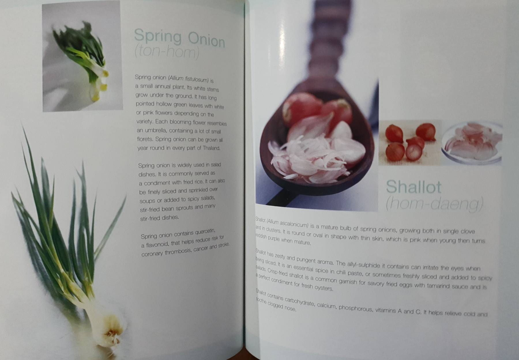 Herb + Spices of Thailand