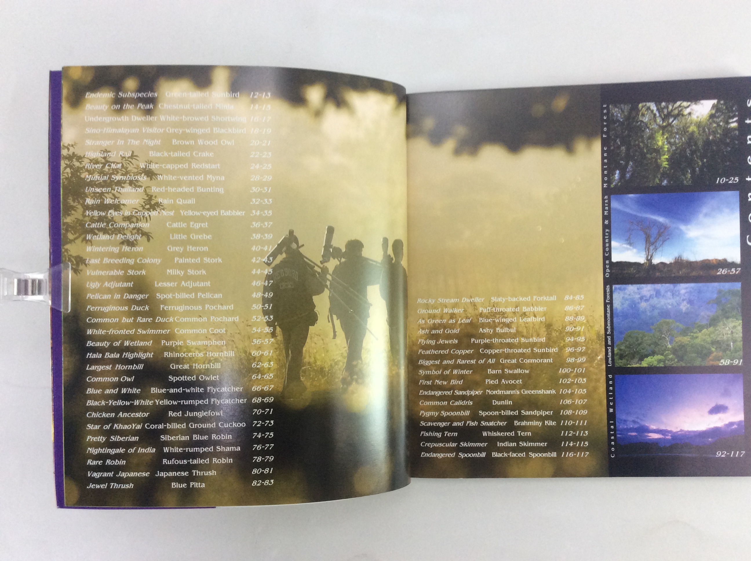 Birds ความในภาพนก เล่ม 1 ปกออ่อน หนังสือถ่ายภาพนก หนังสือ สารคดี