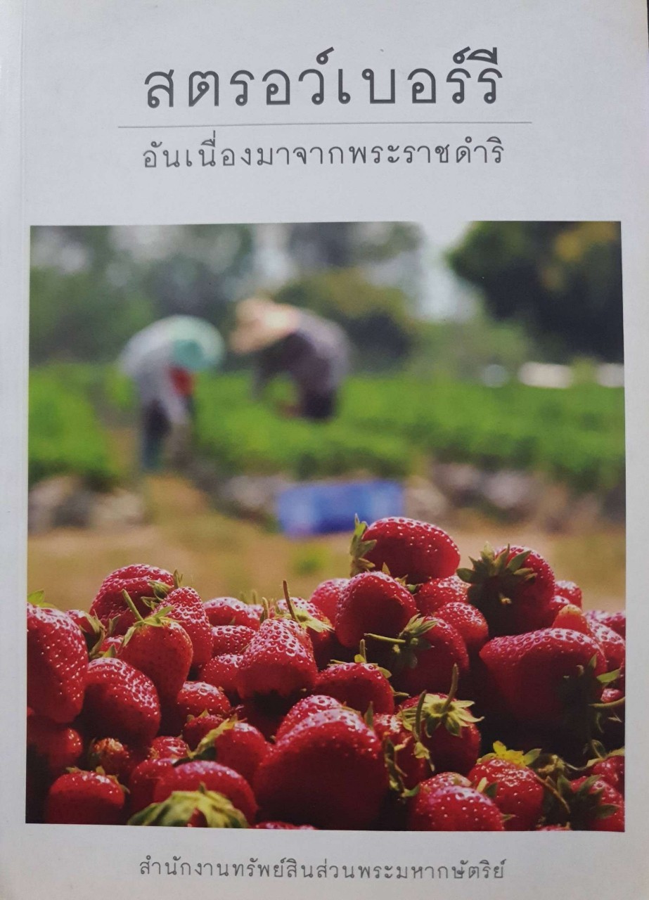 สตรอว์เบอร์รี่ อันเนื่องมาจากพระราชดำริ : สำนักงานทรัพย์สินส่วนพระมหากษัตริย์