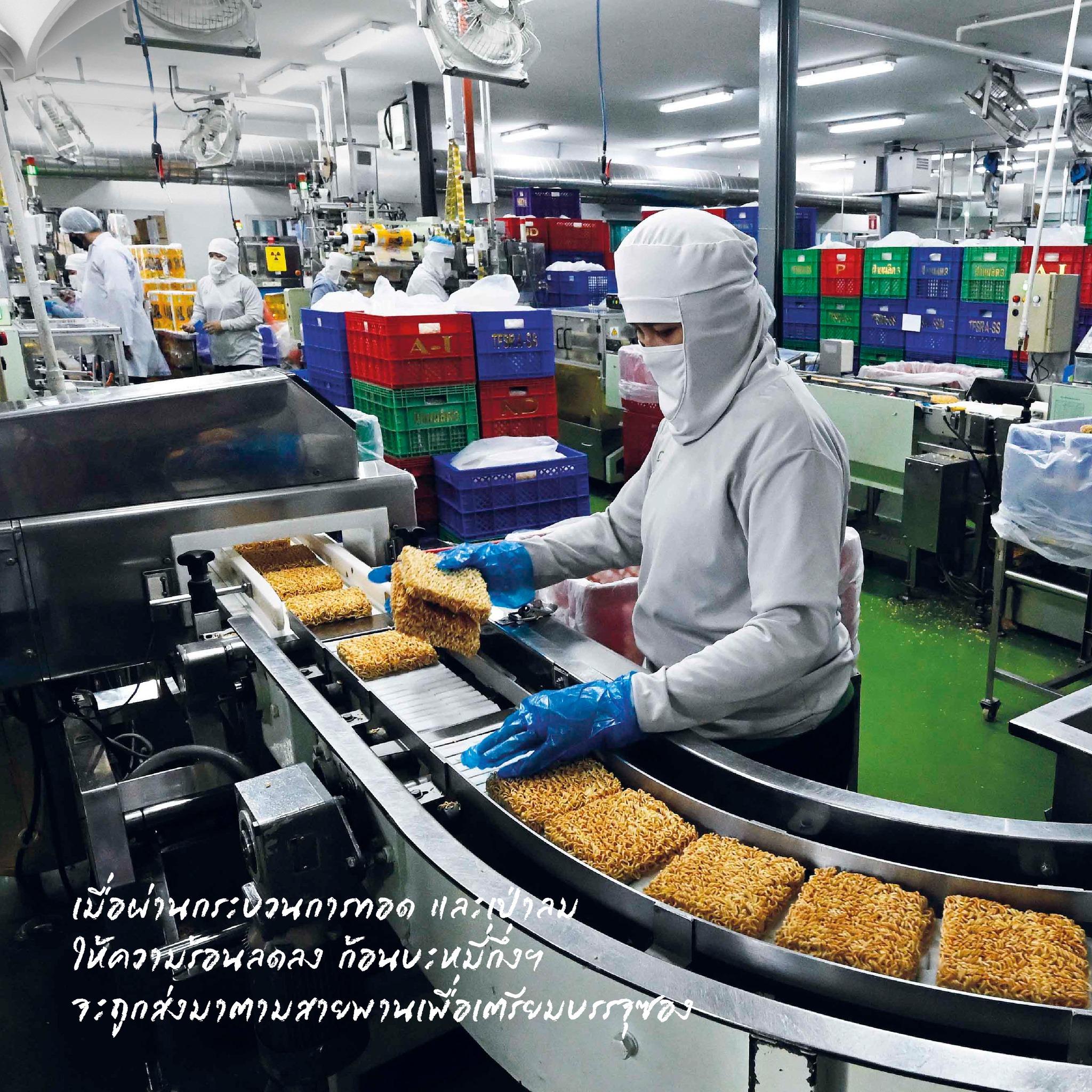 นิตยสารสารคดี ฉบับที่ 480 มีนาคม 2568 วัฒนธรรมเส้น