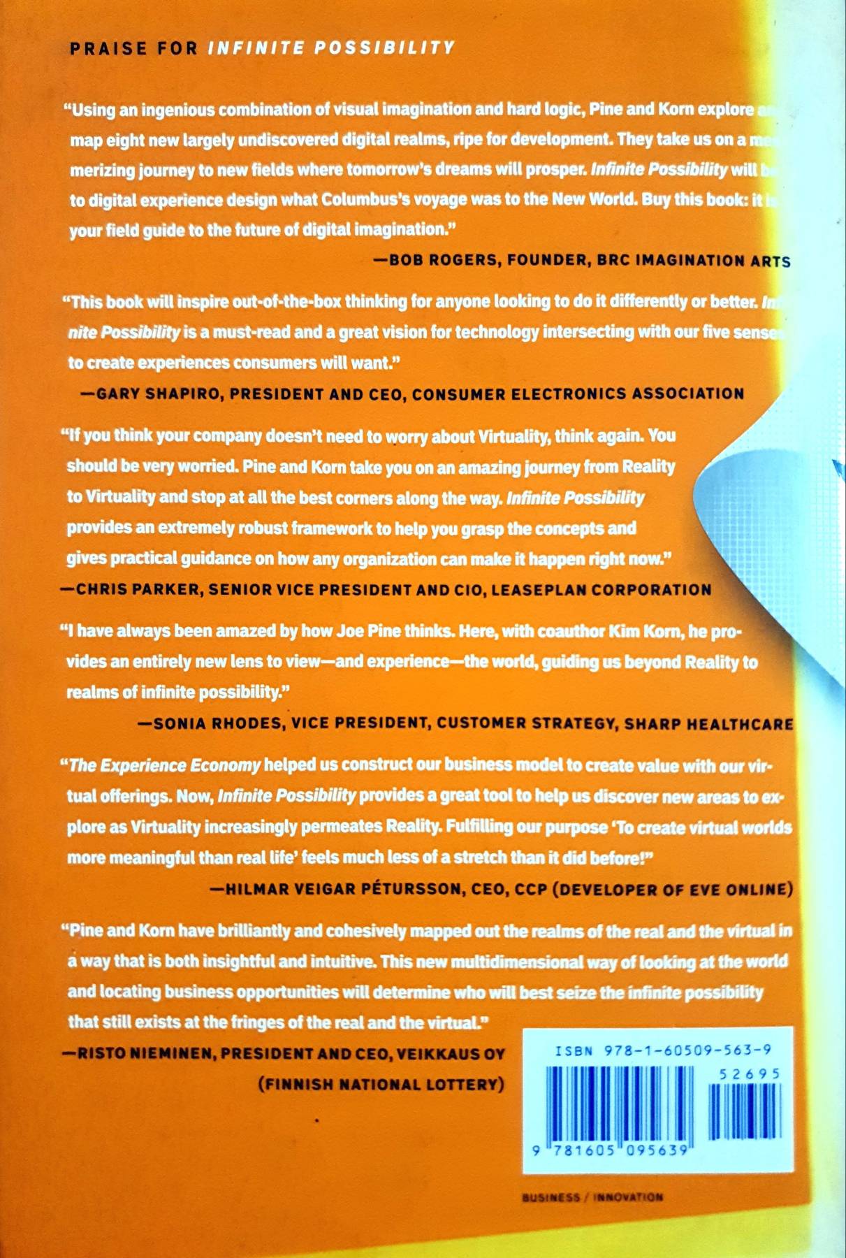 Infinite Possibility: Creating Customer Value on the Digital Frontier by B. Joseph Pine