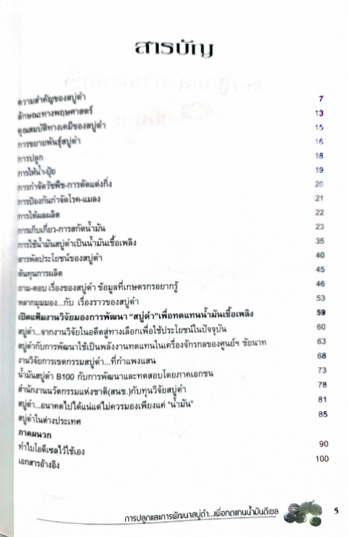 การปลูกและการพัฒนา สบู่ดำ เพื่อทดแทนน้ำมันดีเซล รักษ์ พฤกษชาติ