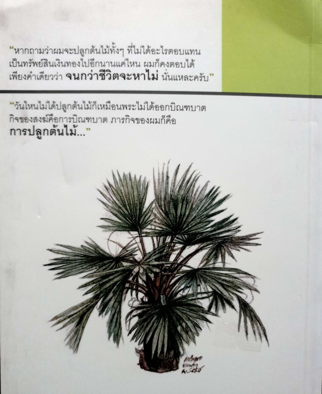 คนบ้าปลูกต้นไม้ : ดาบตำรวจวิชัย สุริยุทธ