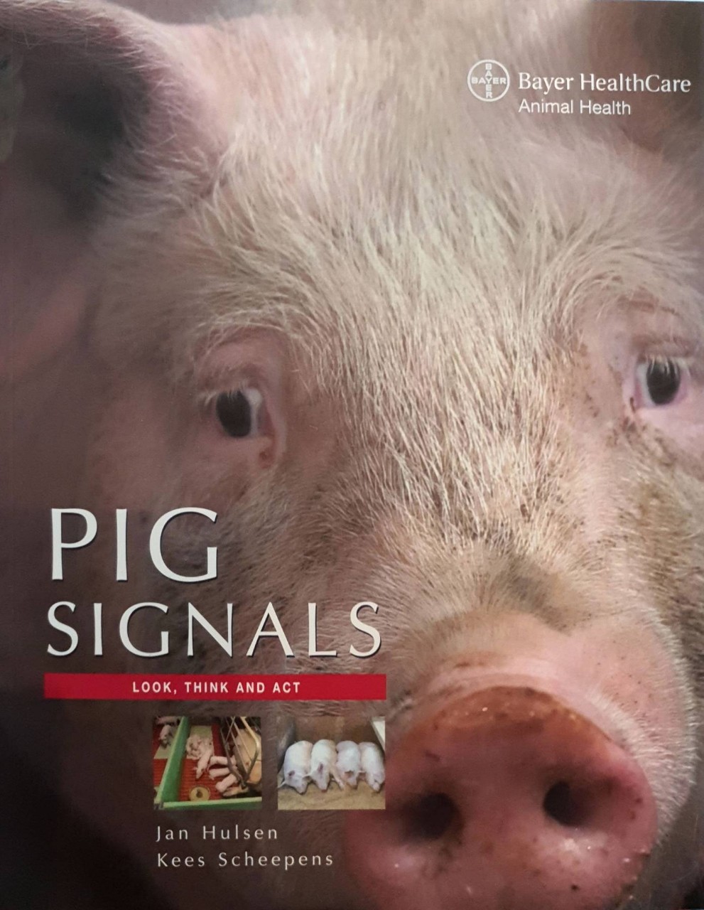 PIG SIGNALS : JAN HULSEN , KEES SCHEEPENS