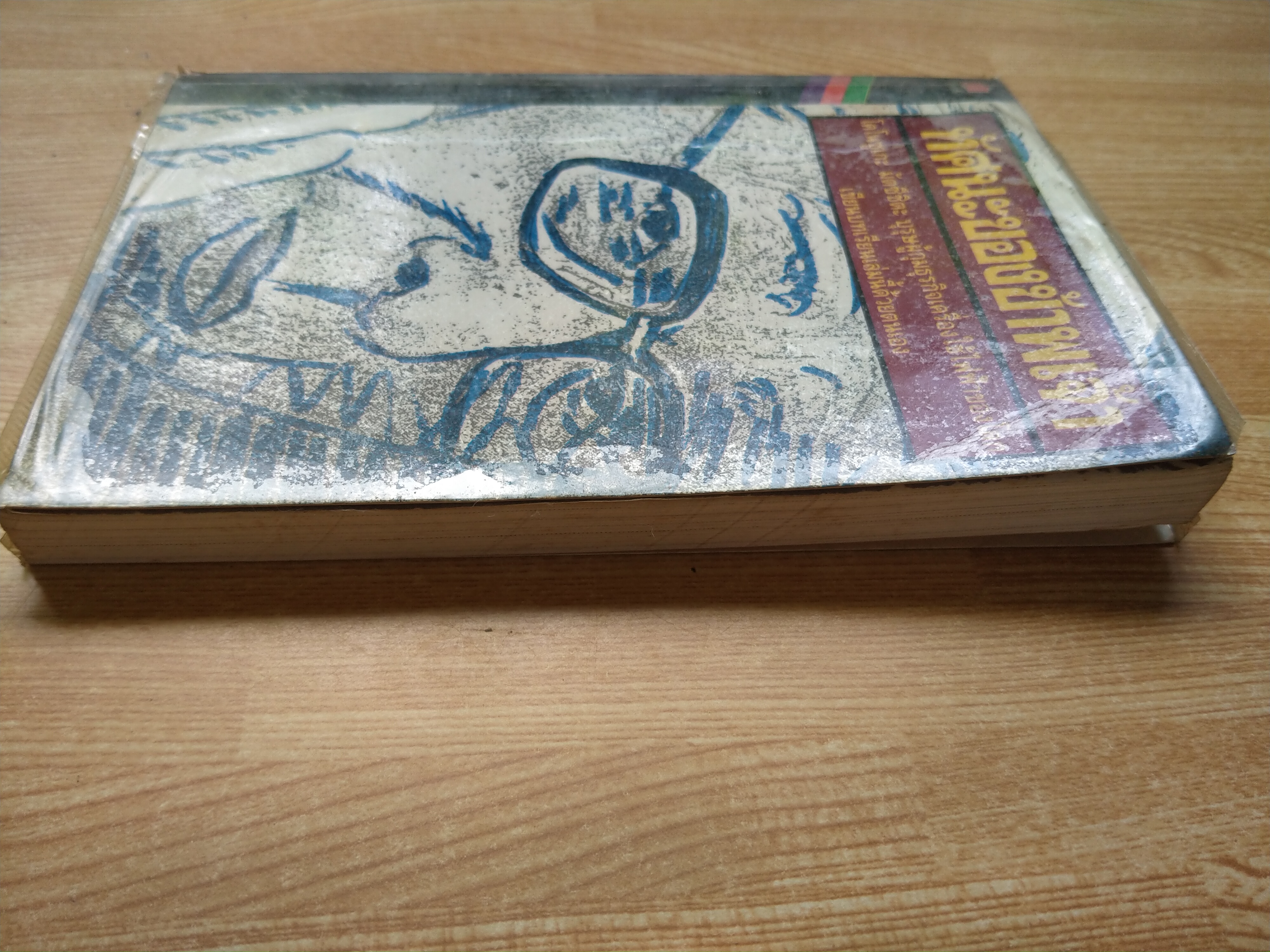 ทัศนะของข้าพเจ้า