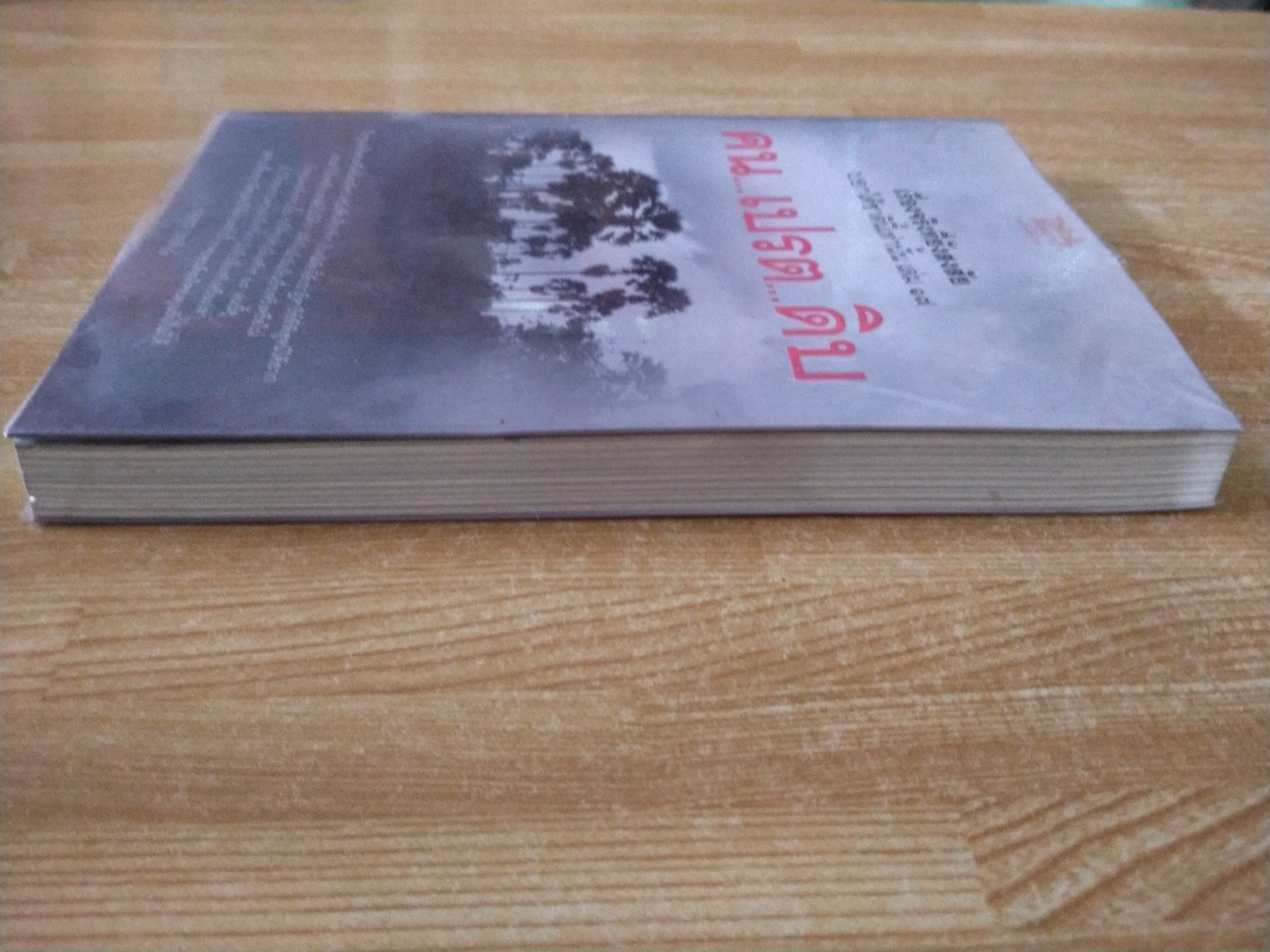 เรื่องจริงที่ยังสงสัย บอกได้ชาตินี้เท่านั้น เล่ม 17 (คน...เปรต...ดิบ)