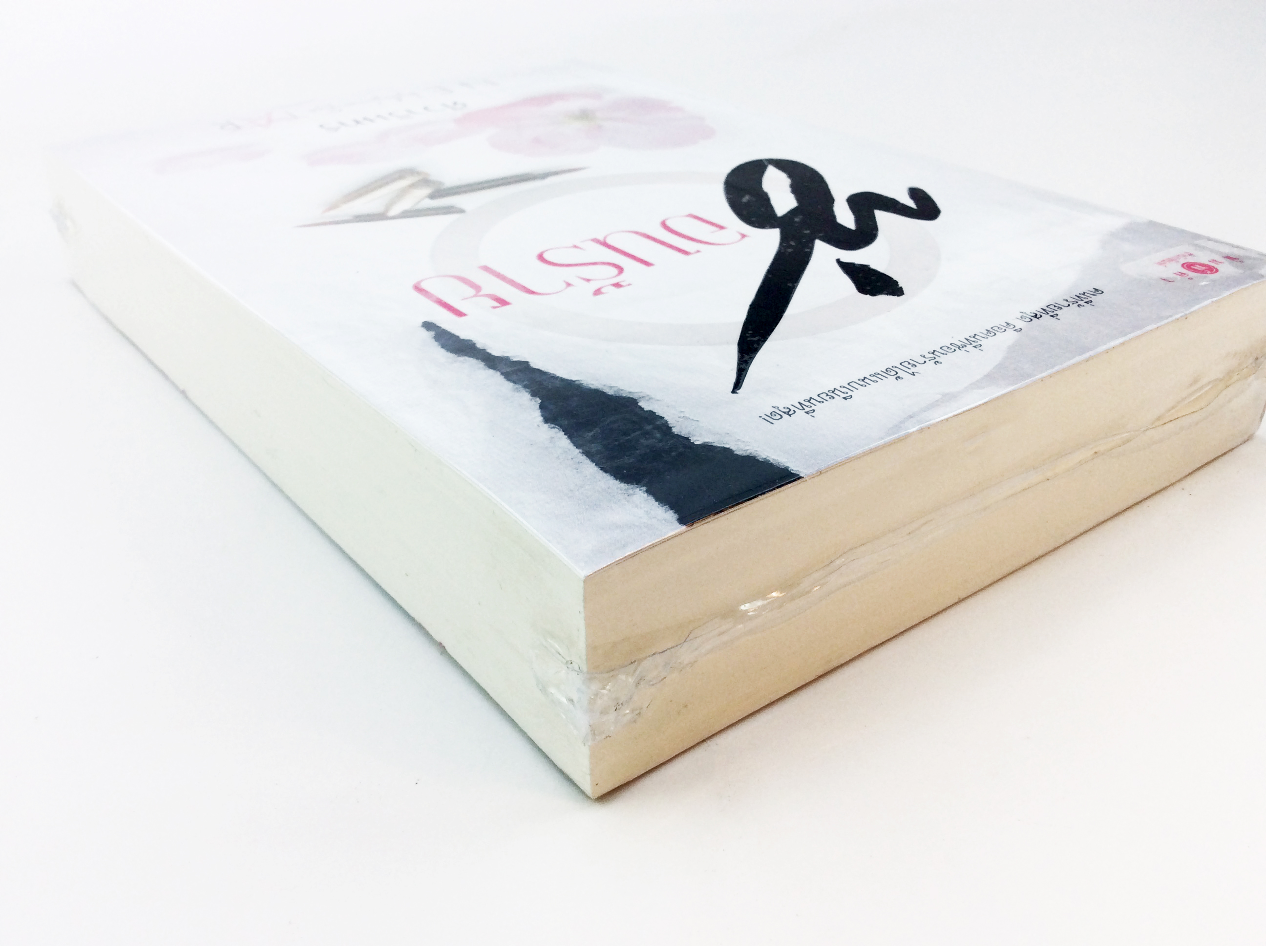 ซ่อนร้าย นิยาย นิยายลดราคา หนังสือ นิยาย