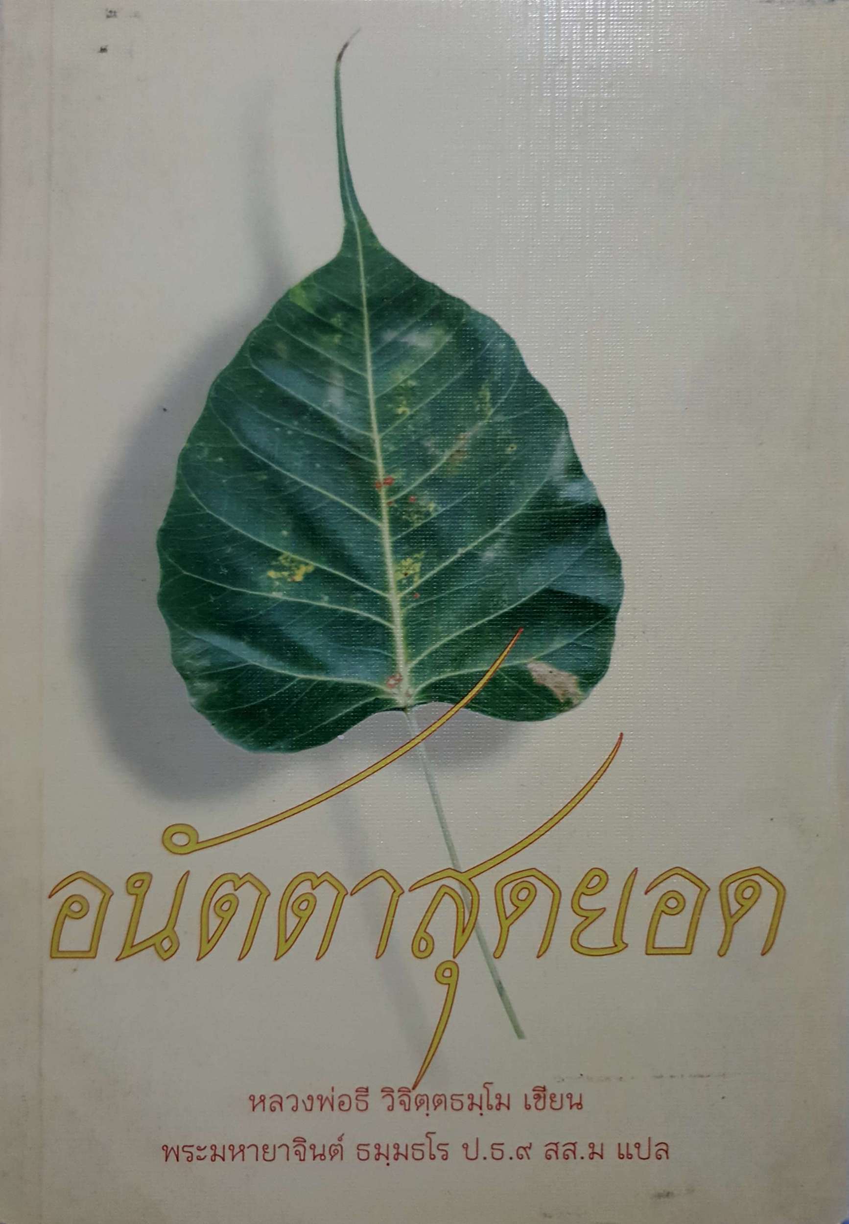 อนัตตาสุดยอด หลวงพ่อธี วิจิตฺตธมฺโม เขียน