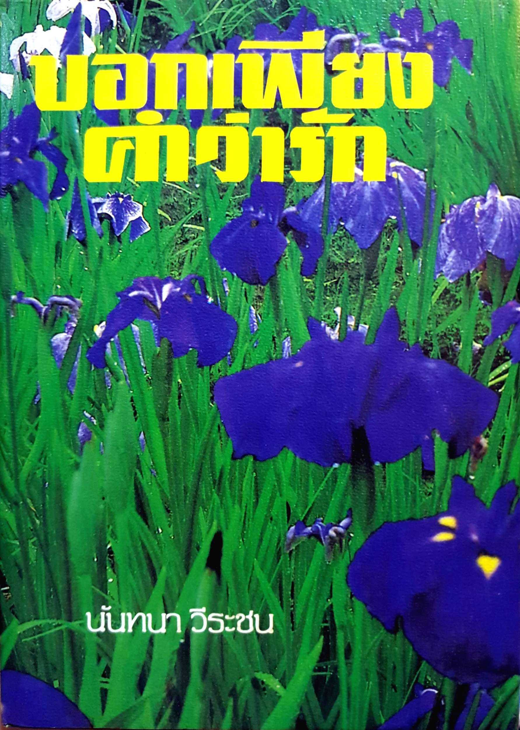 บอกเพียง คำว่ารัก : นันทนา วีระชน