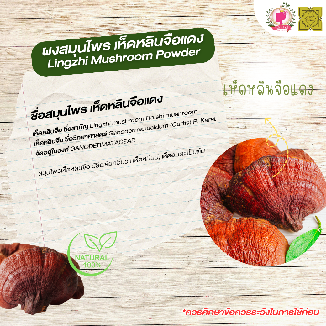 ผงเห็ดหลินจือแดง (Lingzhi Mushroom Powder) ขนาด 500 1000 กรัม เห็ดหลินจือ บดละเอียด สมุนไพร แท้ 100% FG-HBP-098
