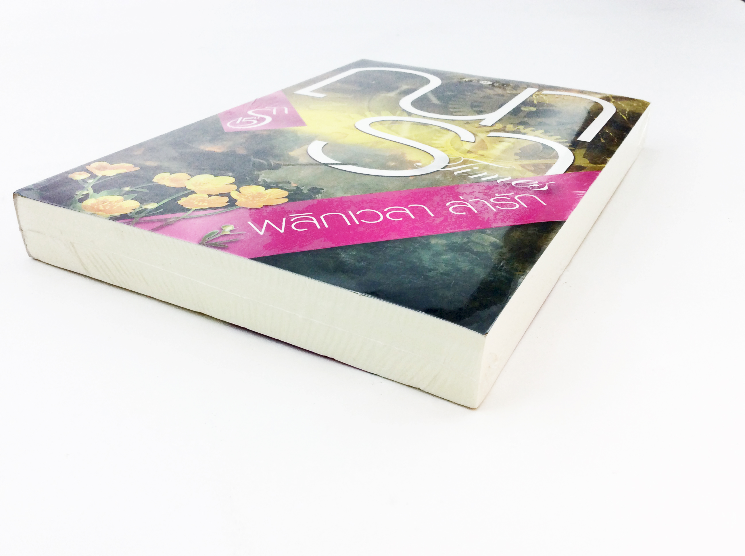 พลิกเวลาล่ารัก ณารา นิยาย นิยายลดราคา หนังสือนิยาย