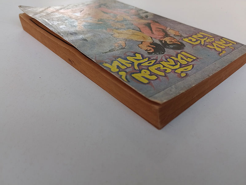 เล่ห์เสือ เหลี่ยมสิงห์ หนังสือ นิยาย วรรณกรรม