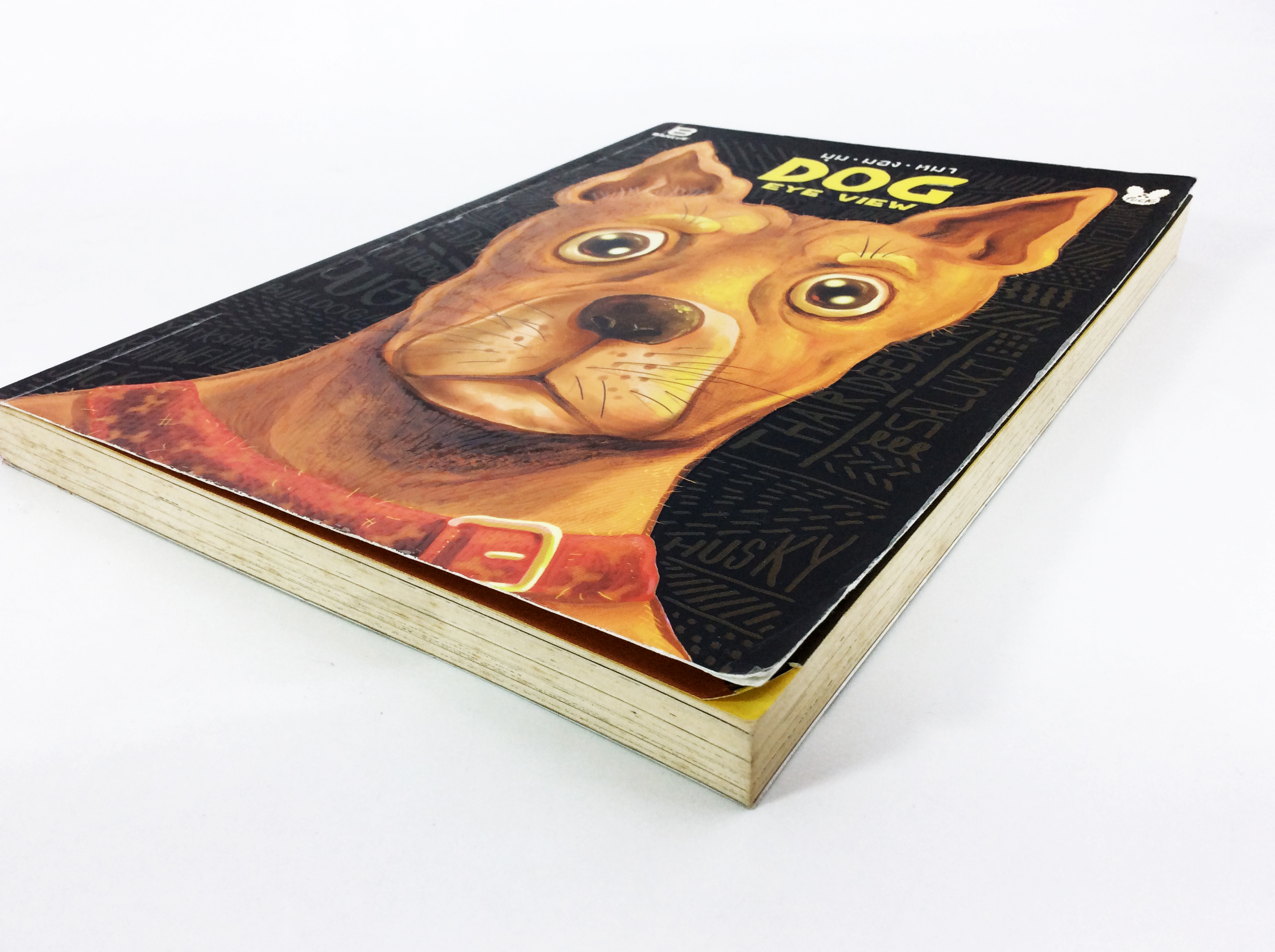 Dog Eye View มุม-มอง-หมา การ์ตูน หนังสือ วัยรุ่น ไลน์สไตส์ นิยายภาพ