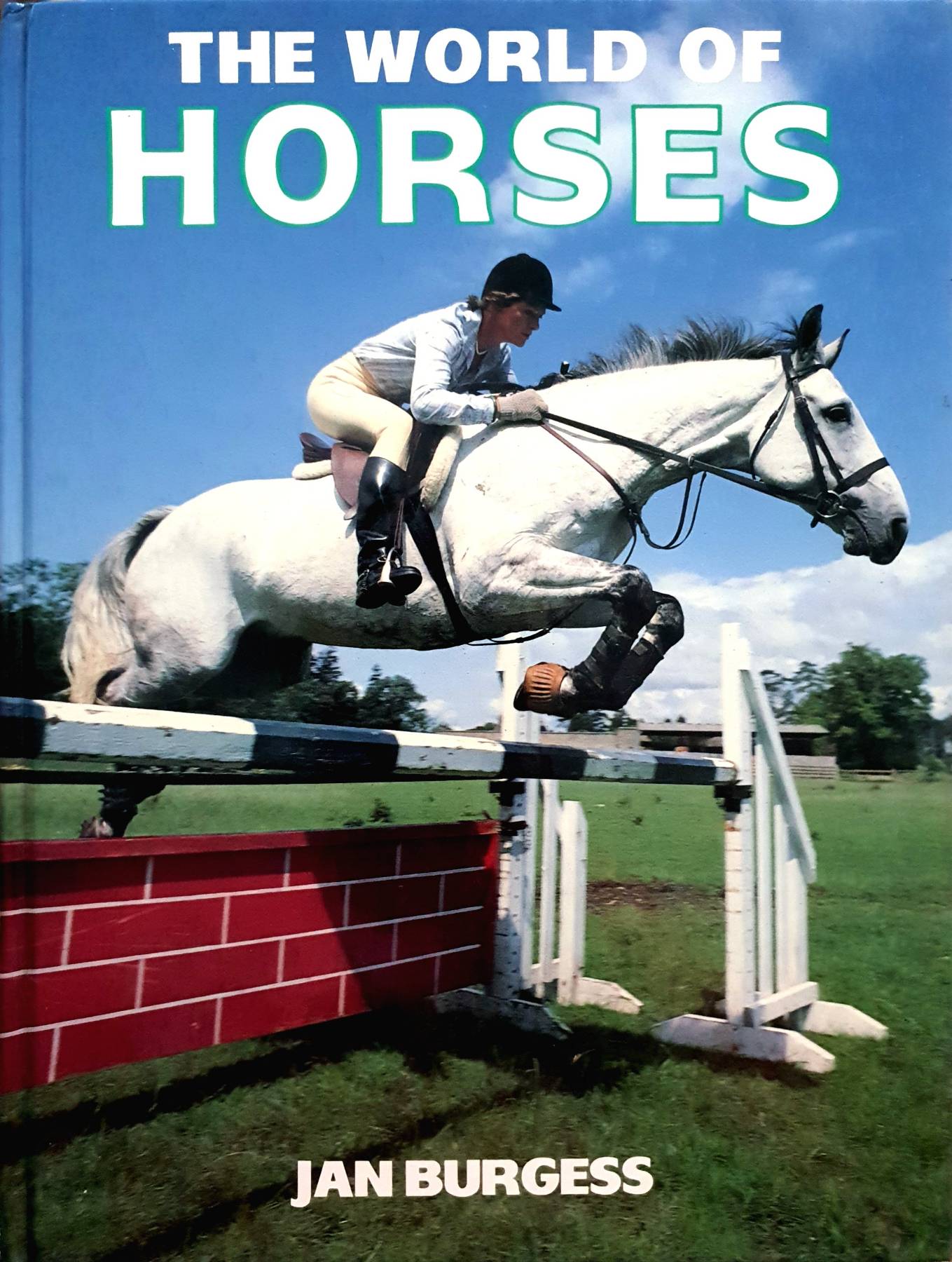 The World of Horse : Jan Burgess 1983 (Hardcover)