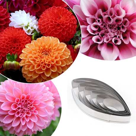 แม่พิมพ์Dahlia Petal Cutters set A606 แม่พิมพ์ดอกไม้สแตนเลสชุด 6 ขนาดแม่พิมพ์ตัดดอกไม้ฟองดองดอกดาเลียแม่พิมพ์ตัดดอกเดเลียดรูปดอกรักเร่ 6 ขนาด
